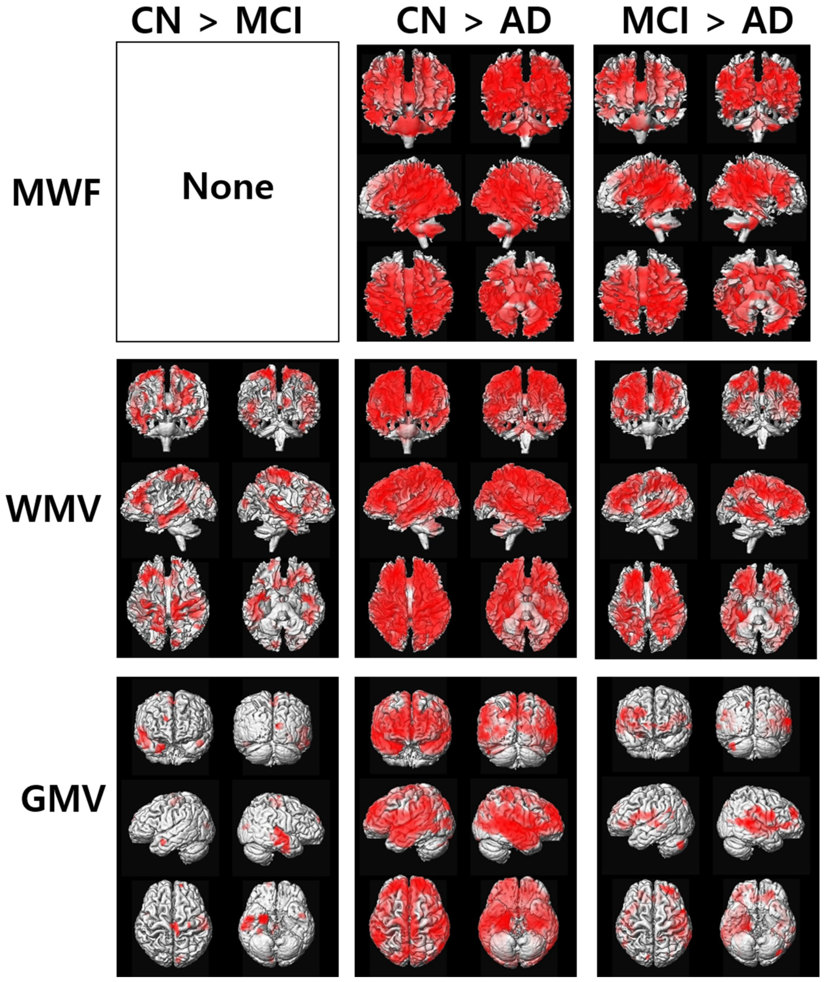 Diagnostics 12 00446 g002 550