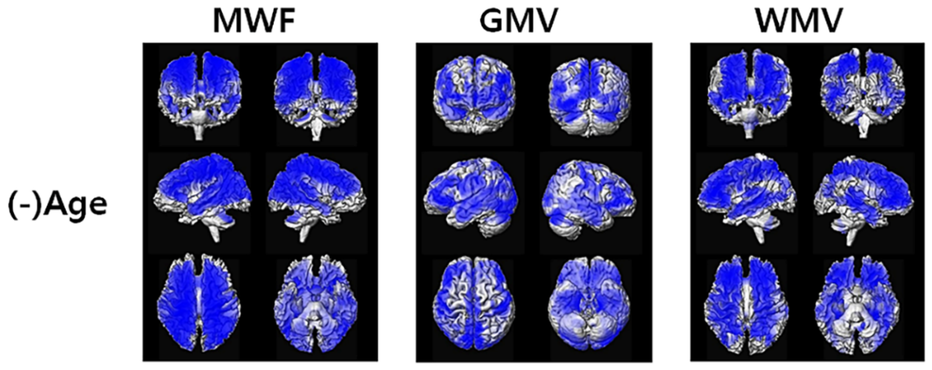 Diagnostics 12 00446 g003 550