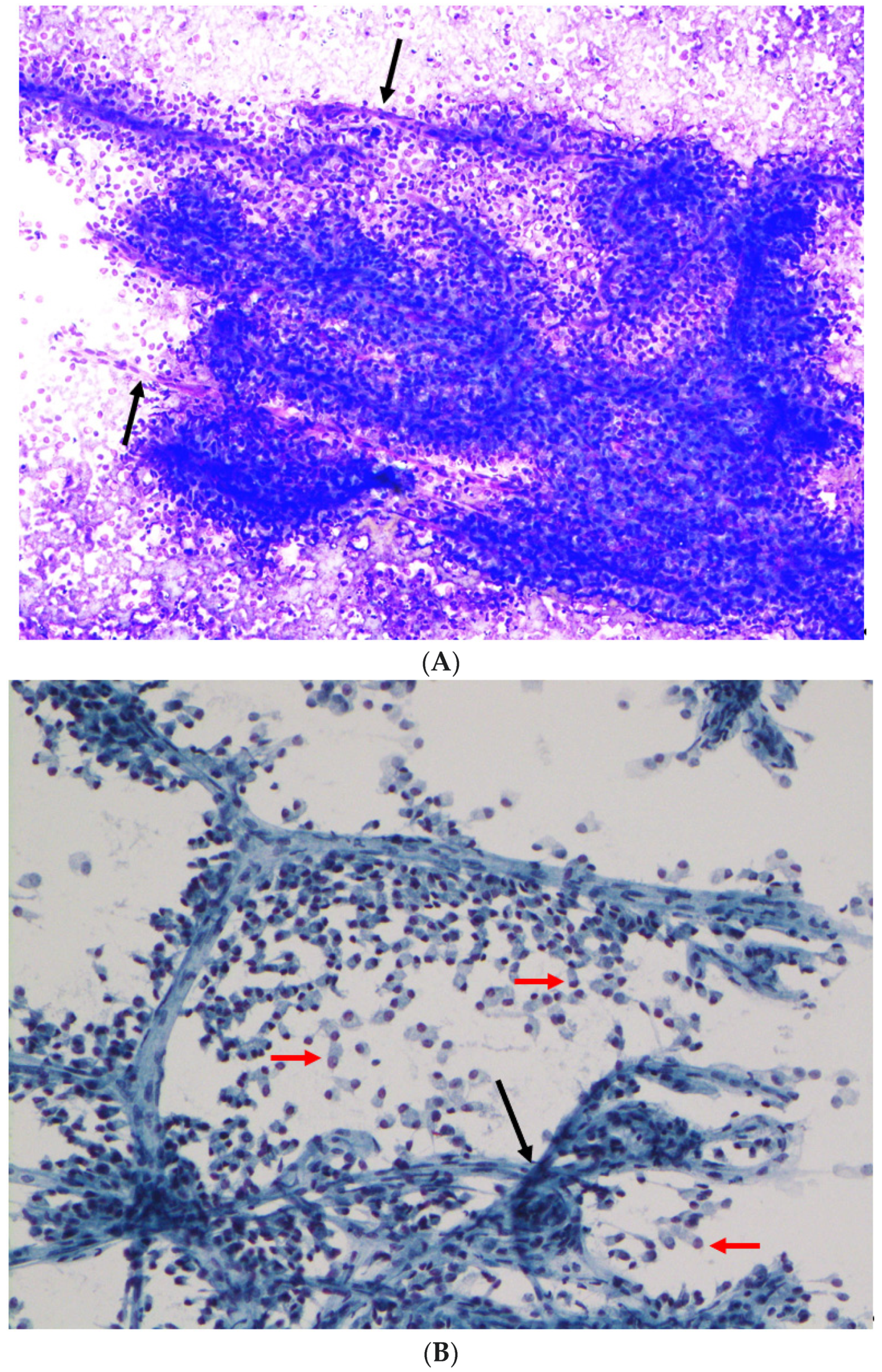 Diagnostics 12 00449 g001a 550