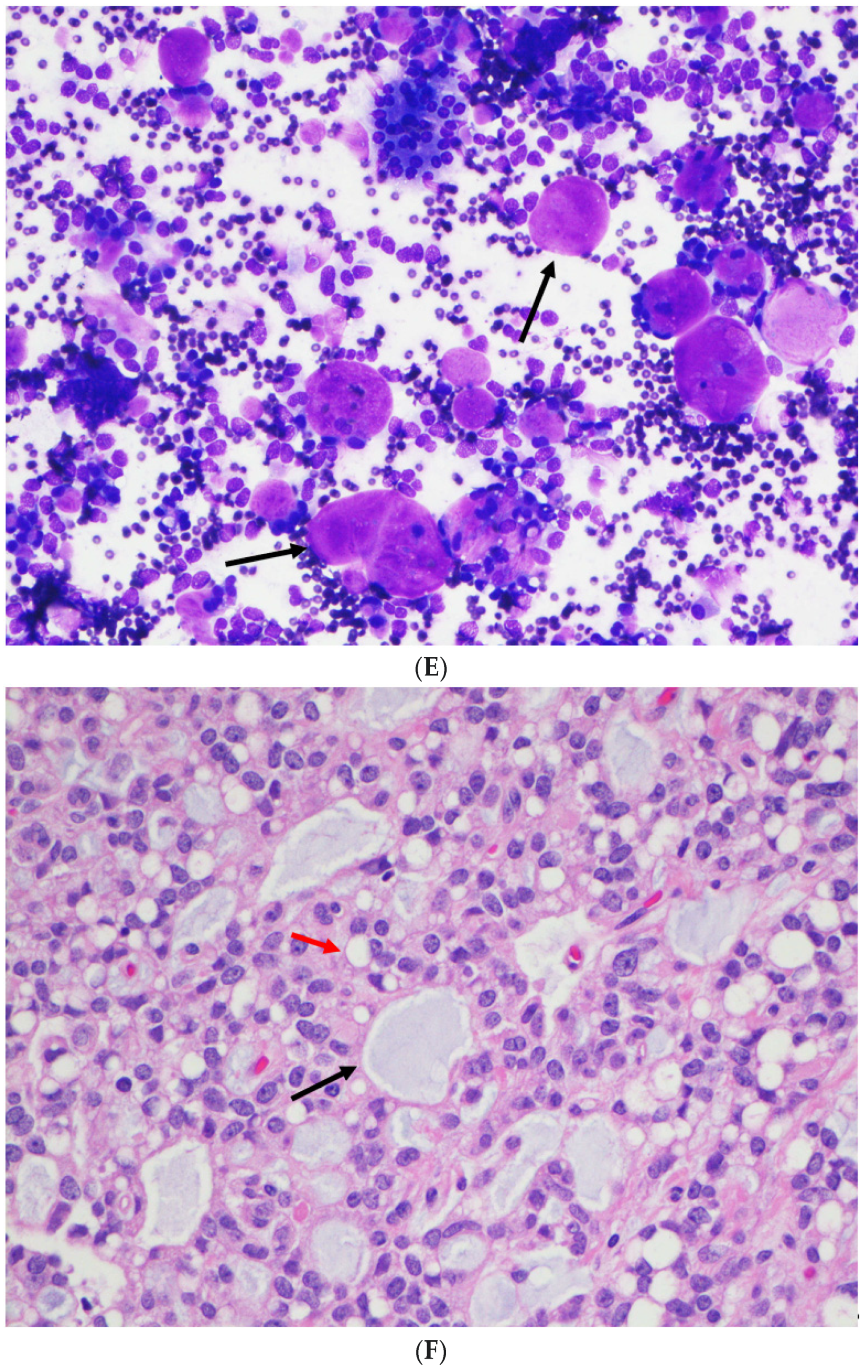Diagnostics 12 00449 g001c 550