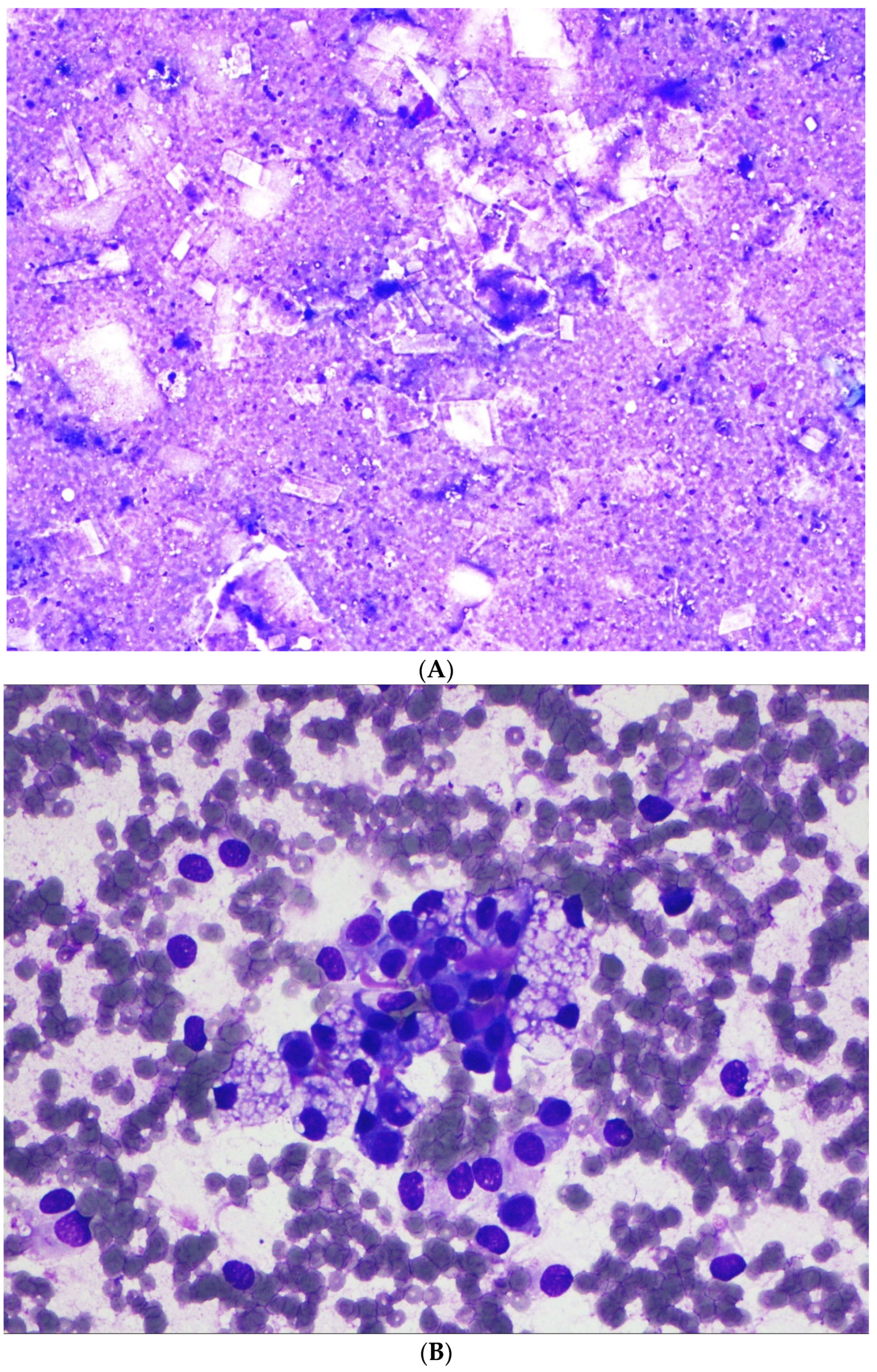 Diagnostics 12 00449 g002a 550