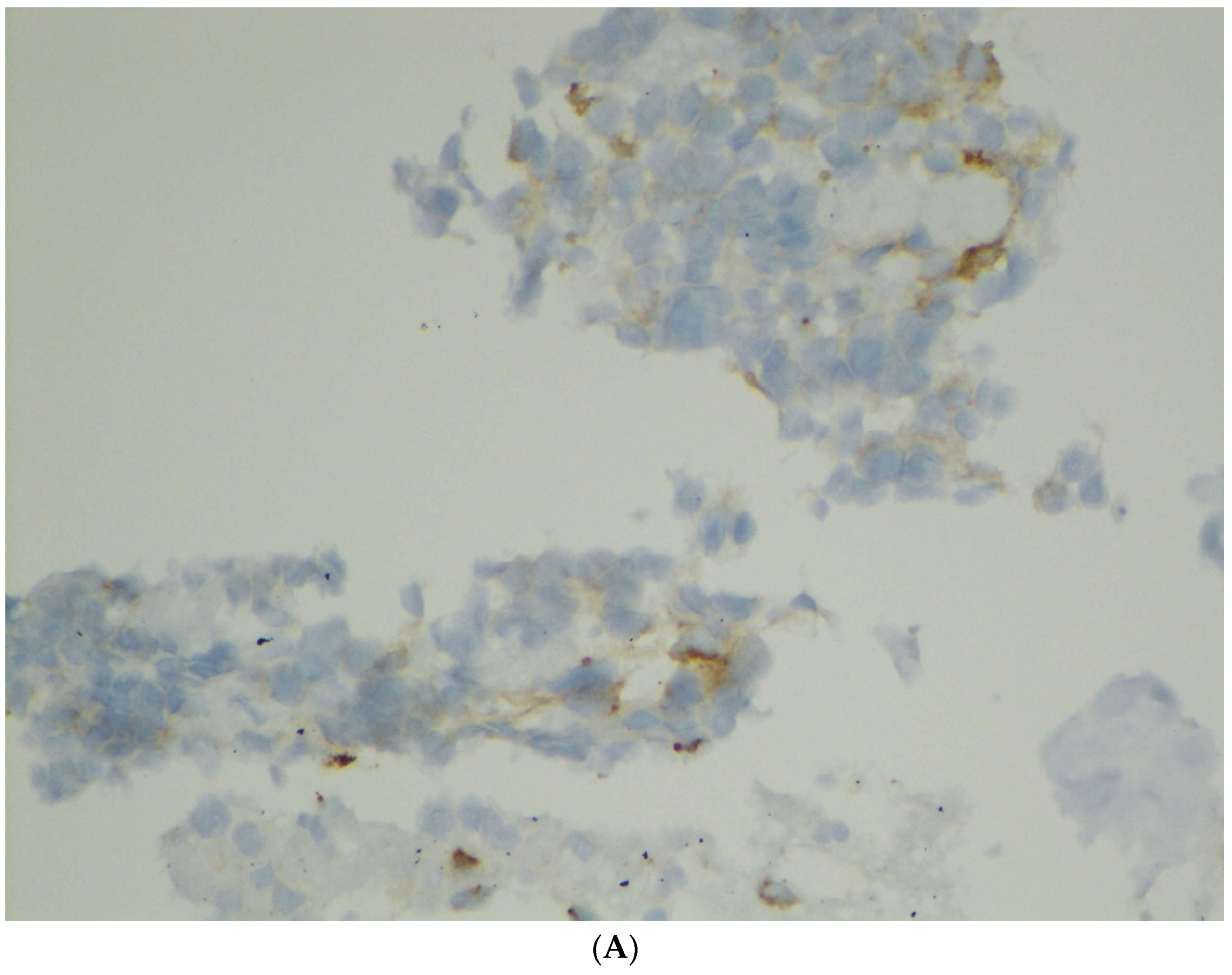 Diagnostics 12 00449 g003a 550