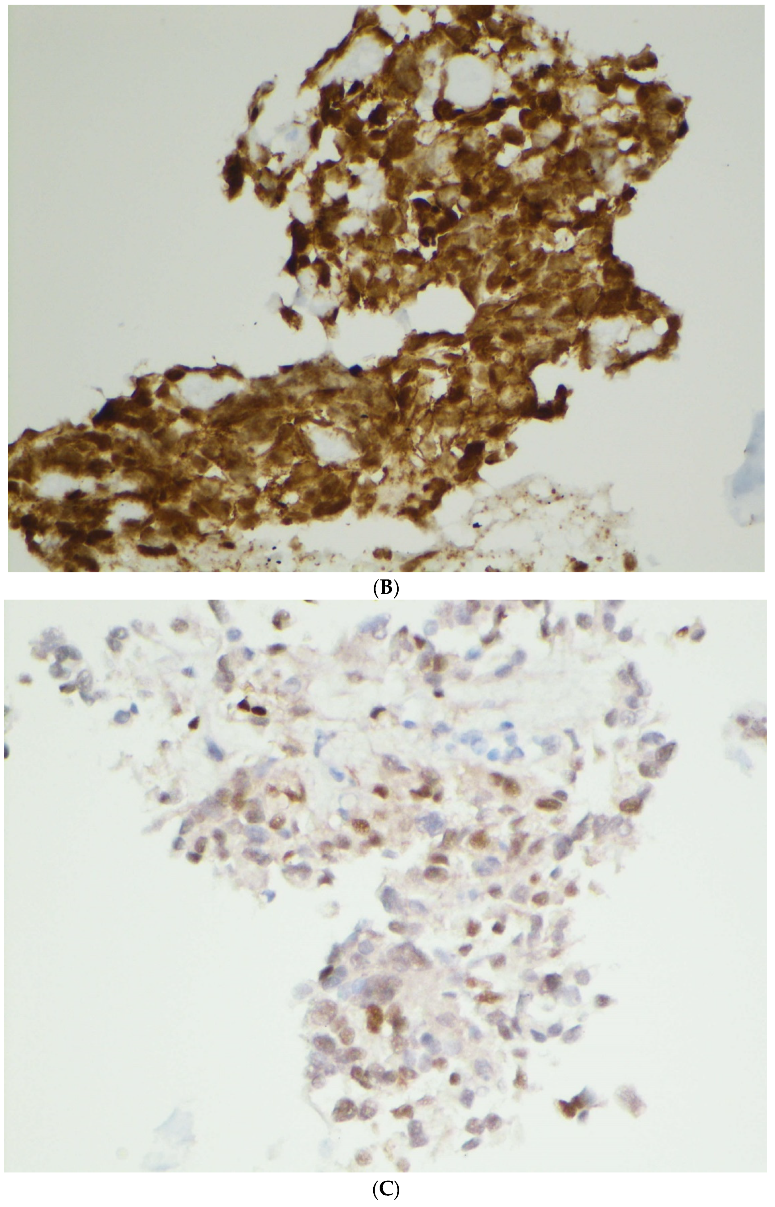 Diagnostics 12 00449 g003b 550
