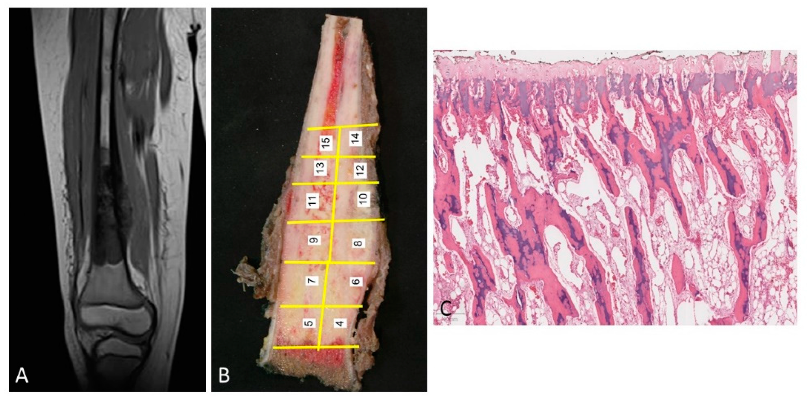 Diagnostics 12 00450 g002 550