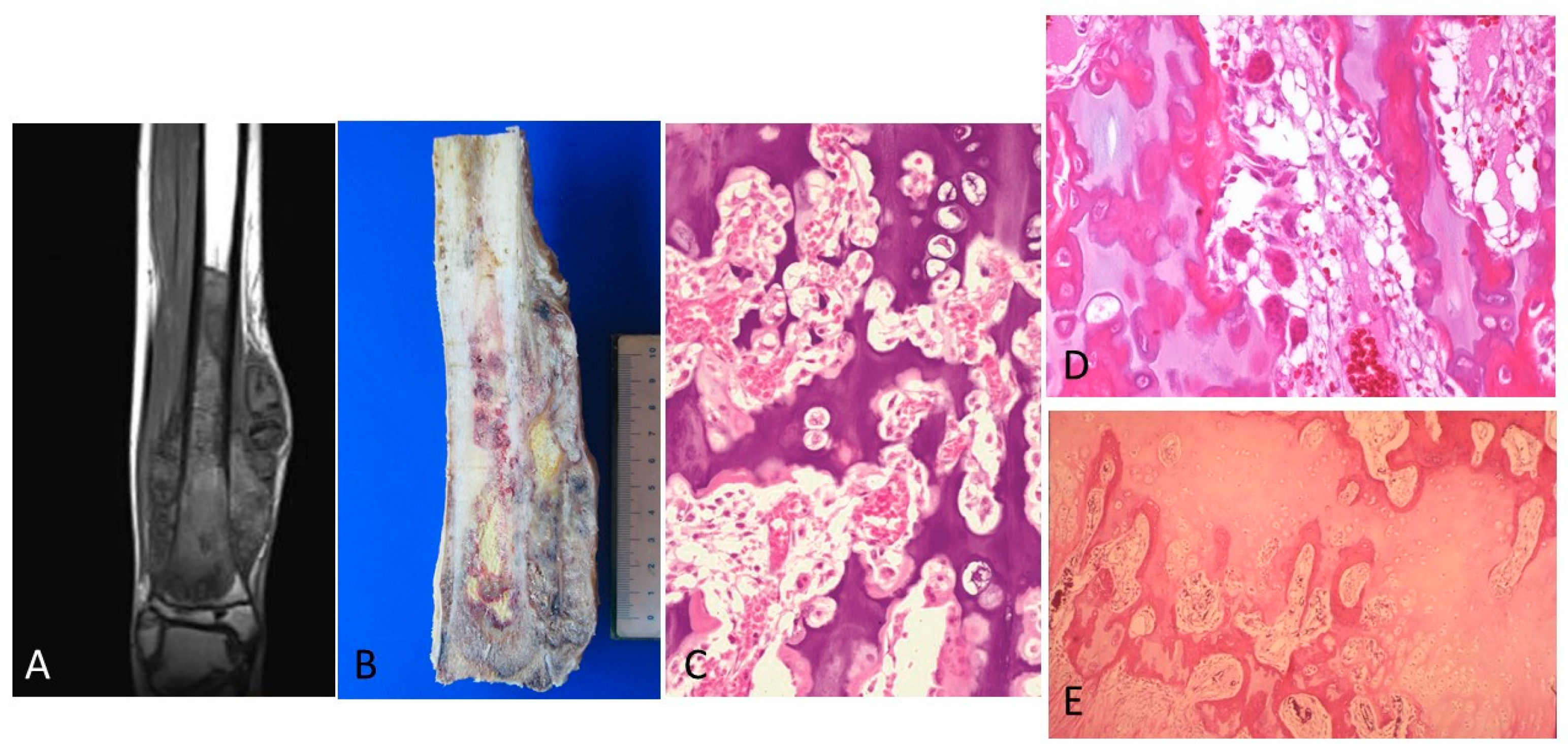 Diagnostics 12 00450 g003 550