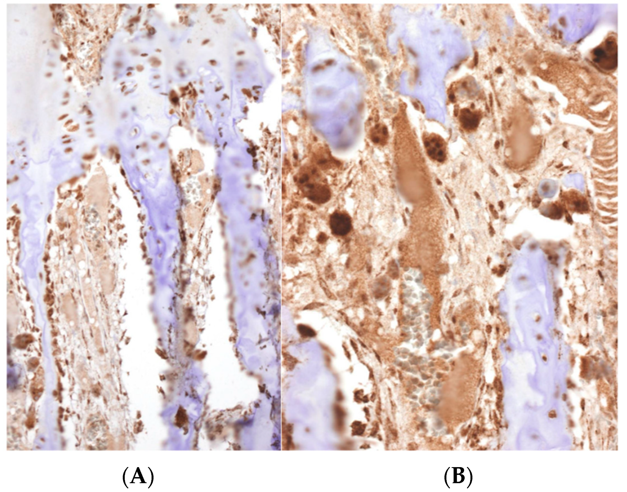 Diagnostics 12 00450 g004 550