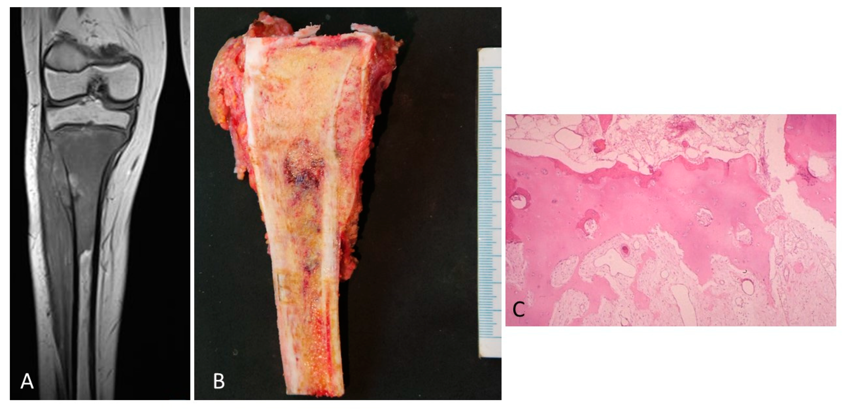 Diagnostics 12 00450 g005 550