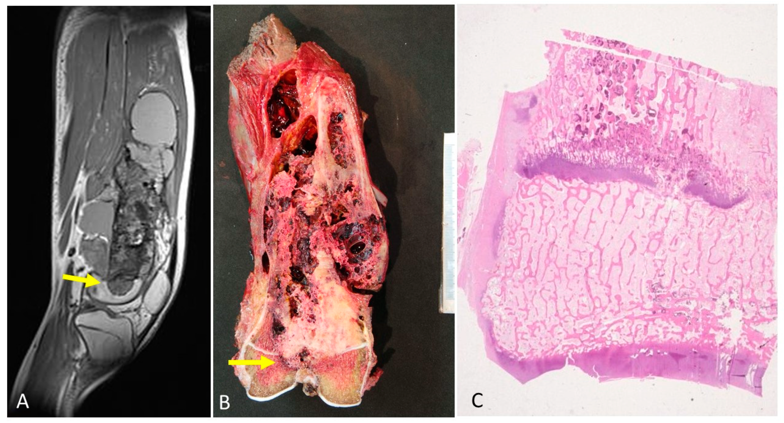 Diagnostics 12 00450 g006 550