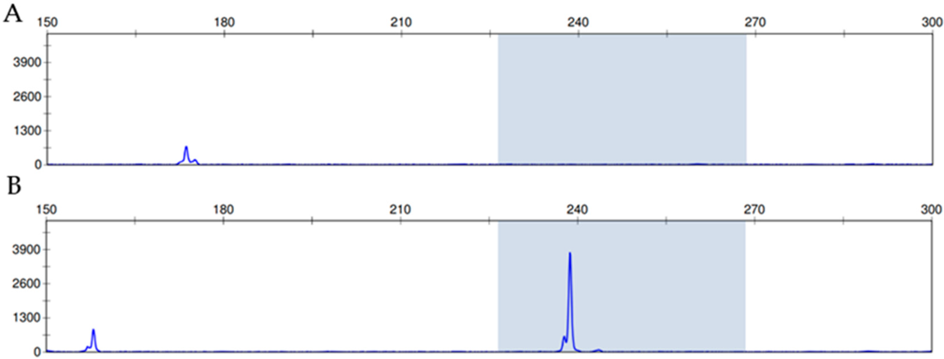 Diagnostics 12 00454 g002 550