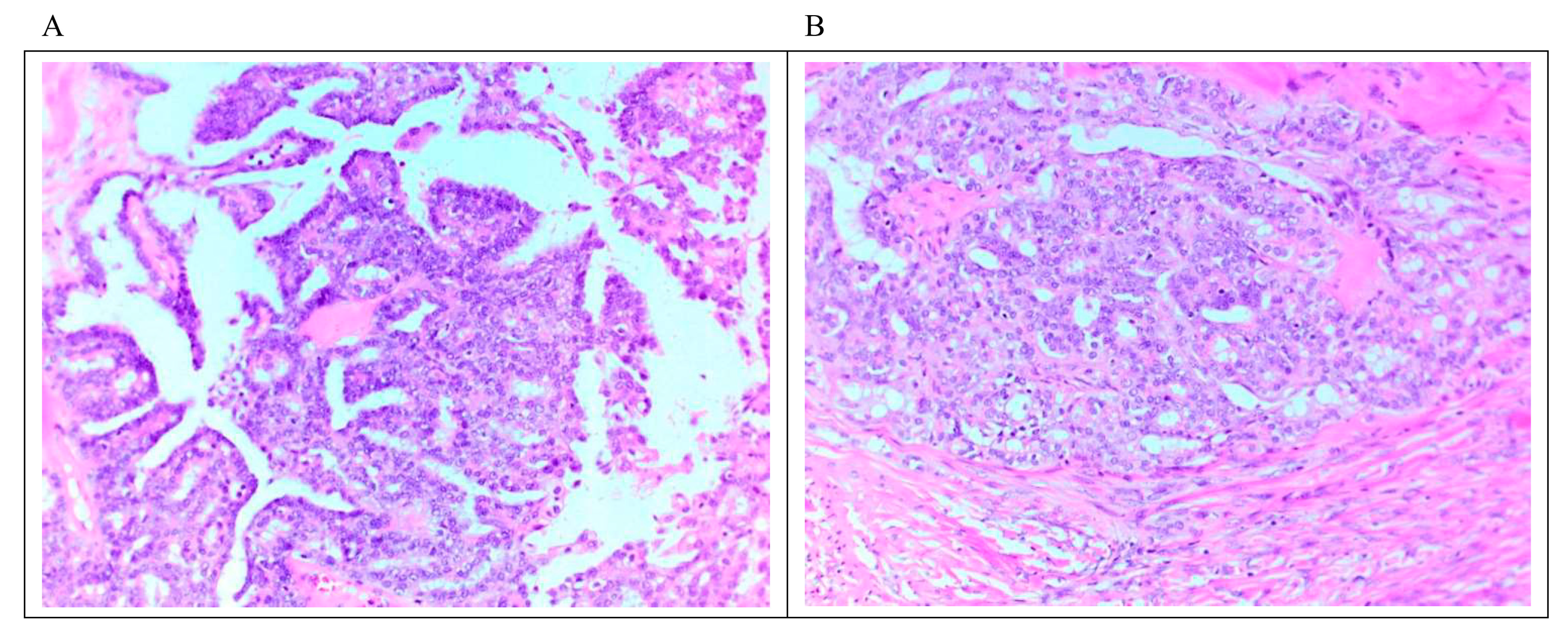 Diagnostics 12 00458 g001 550