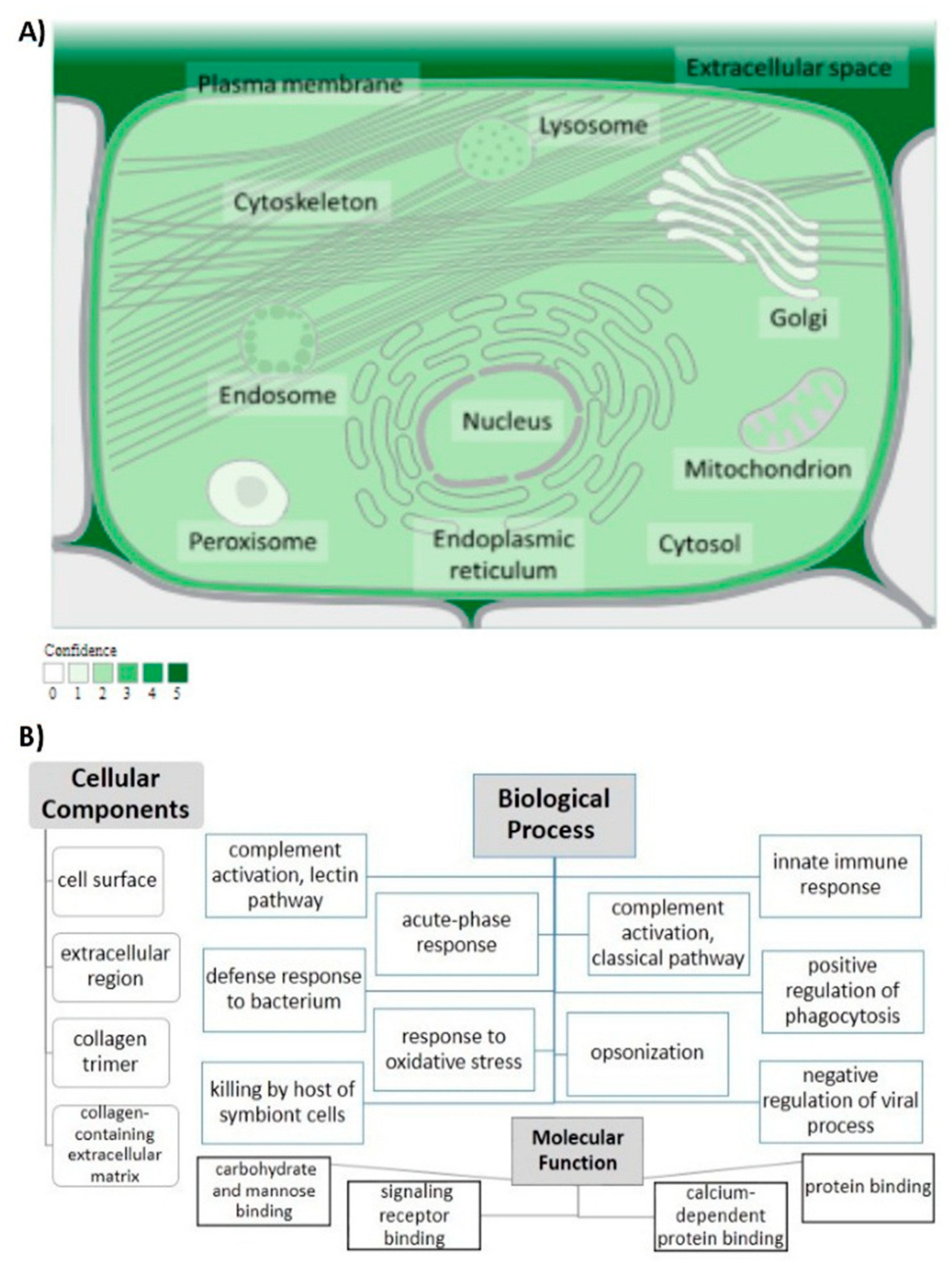 Diagnostics 12 00460 g003 Diagnostics 12 00460 g003