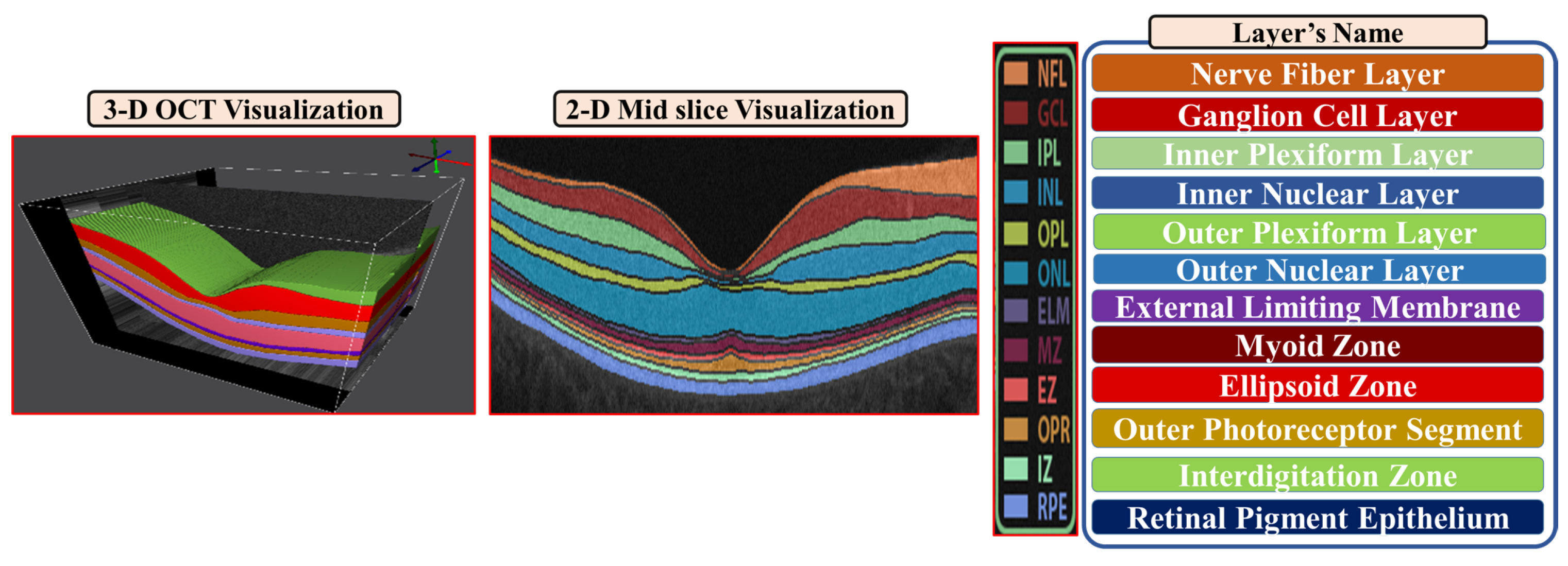 Diagnostics 12 00461 g002