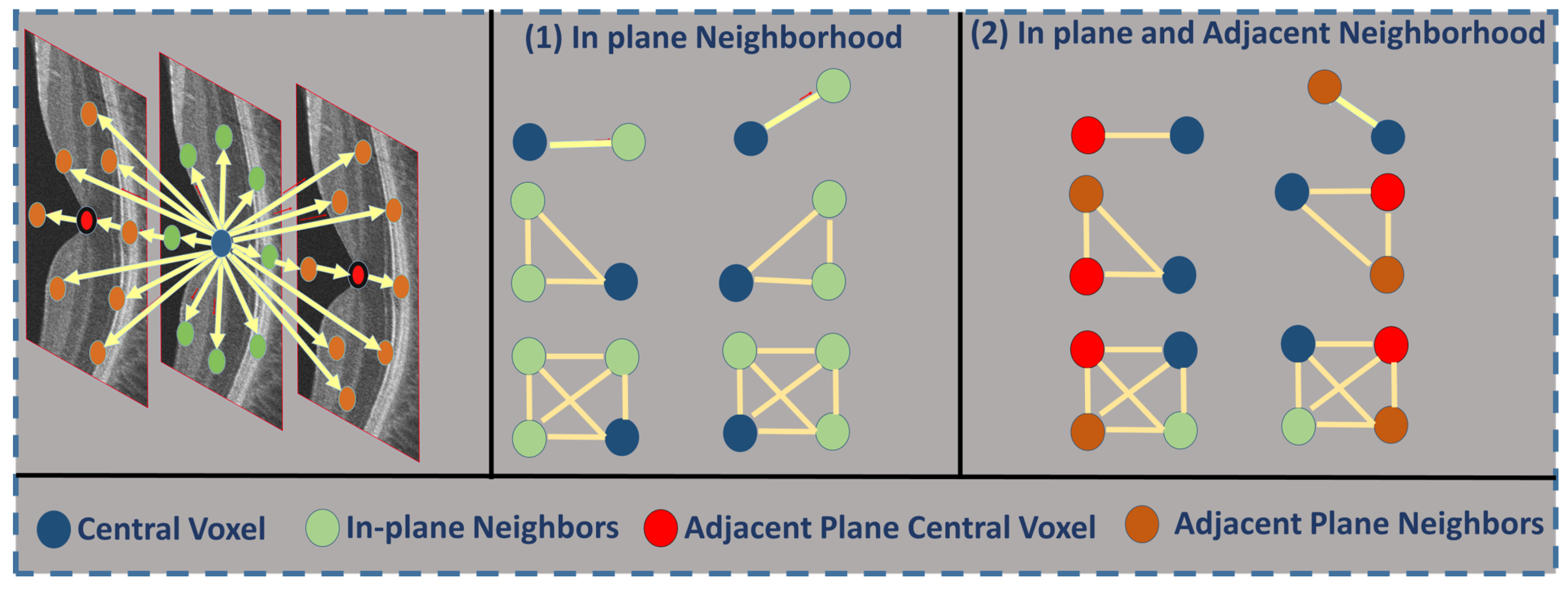 Diagnostics 12 00461 g004