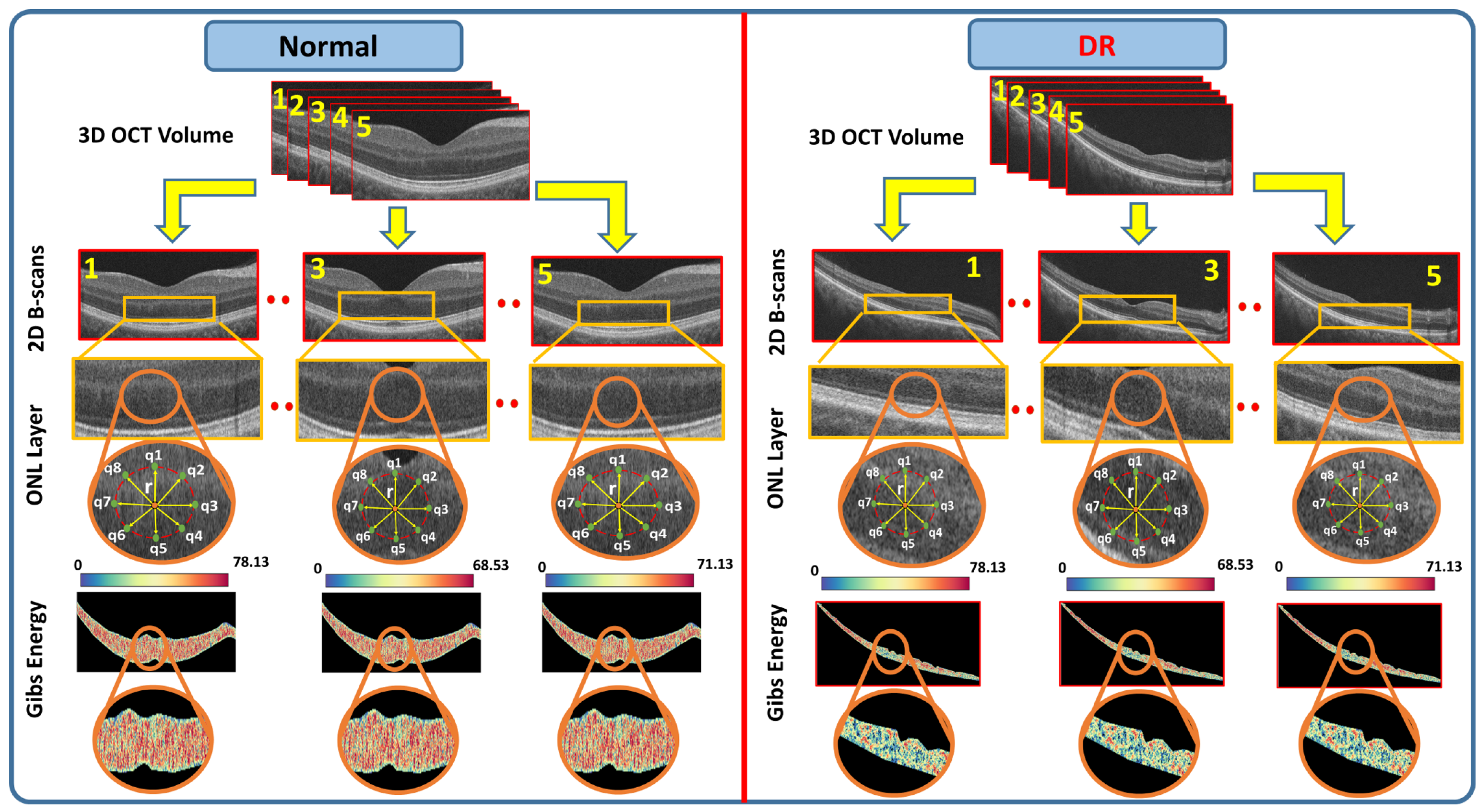 Diagnostics 12 00461 g005