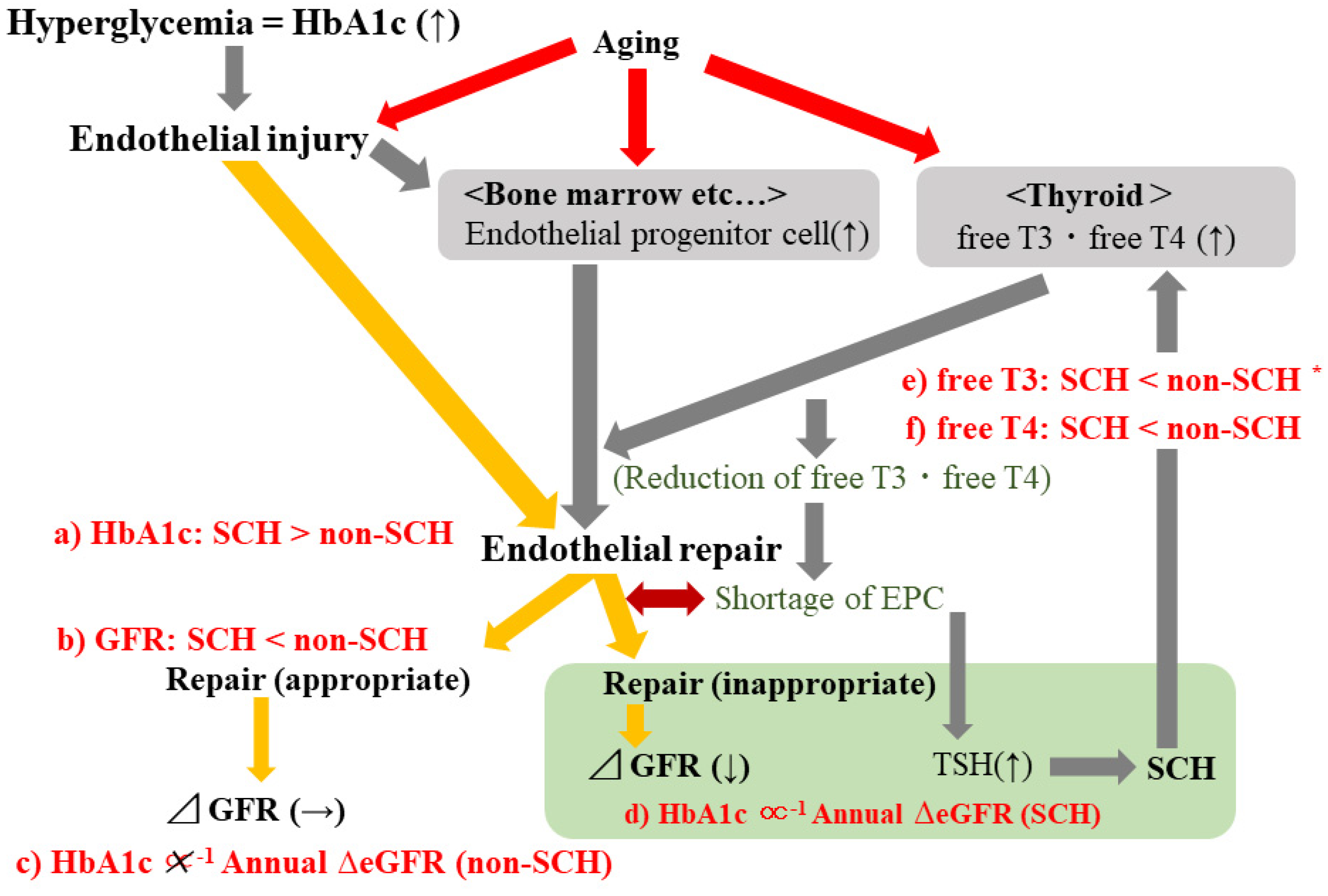 Diagnostics 12 00462 g003 550