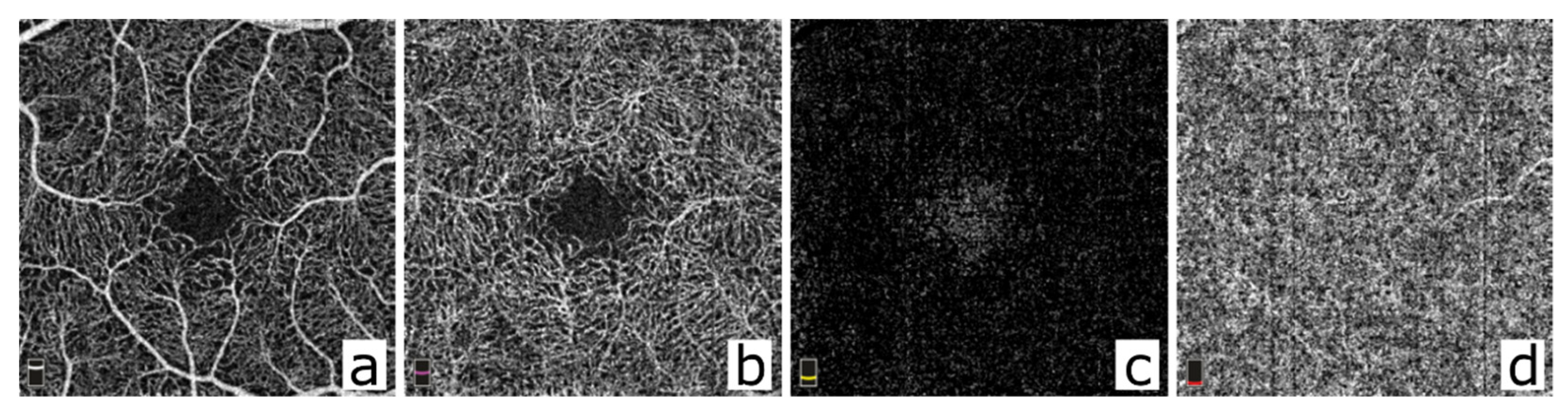 Diagnostics 12 00468 g001