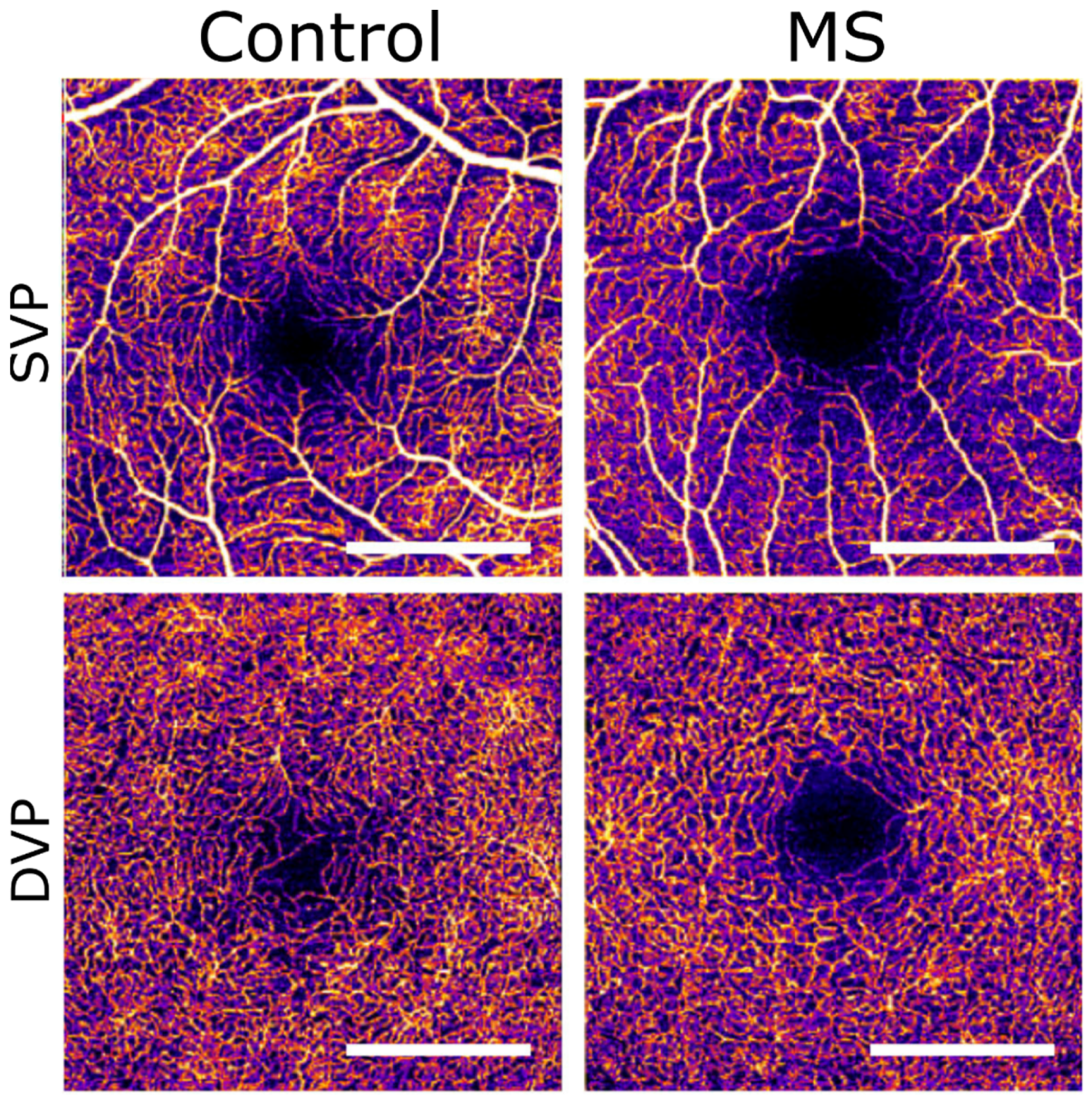 Diagnostics 12 00468 g004
