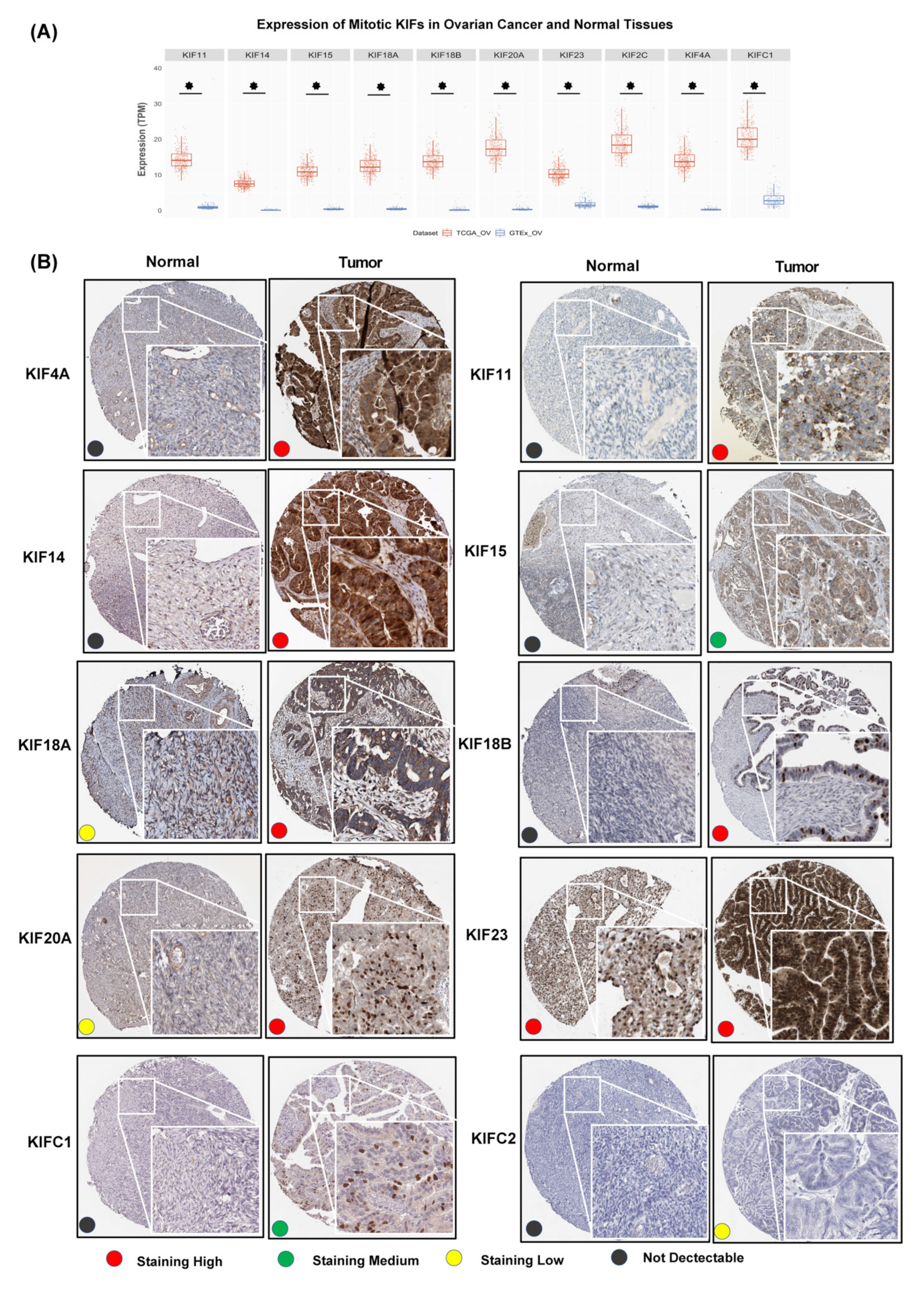Diagnostics 12 00470 g003