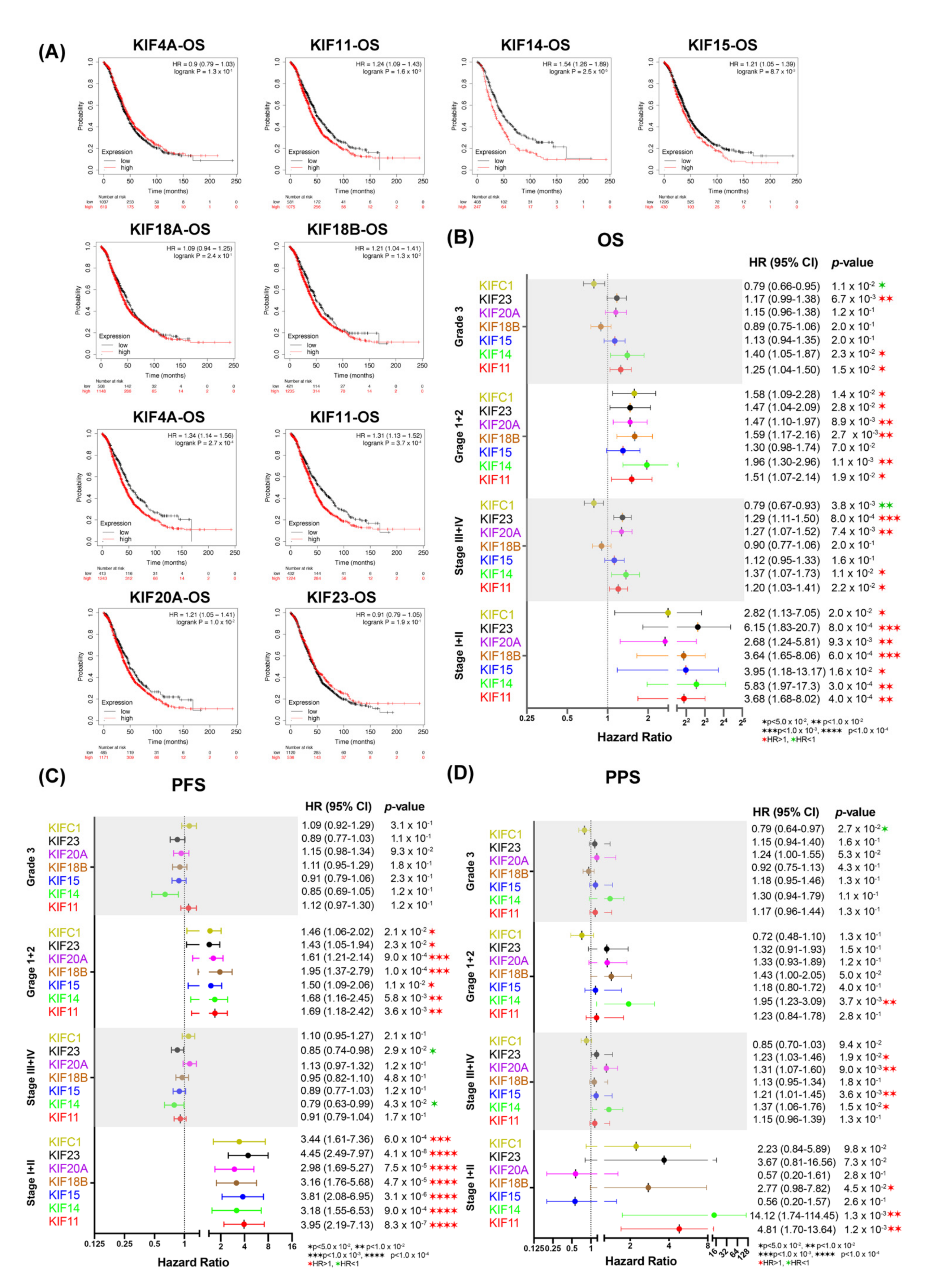 Diagnostics 12 00470 g006