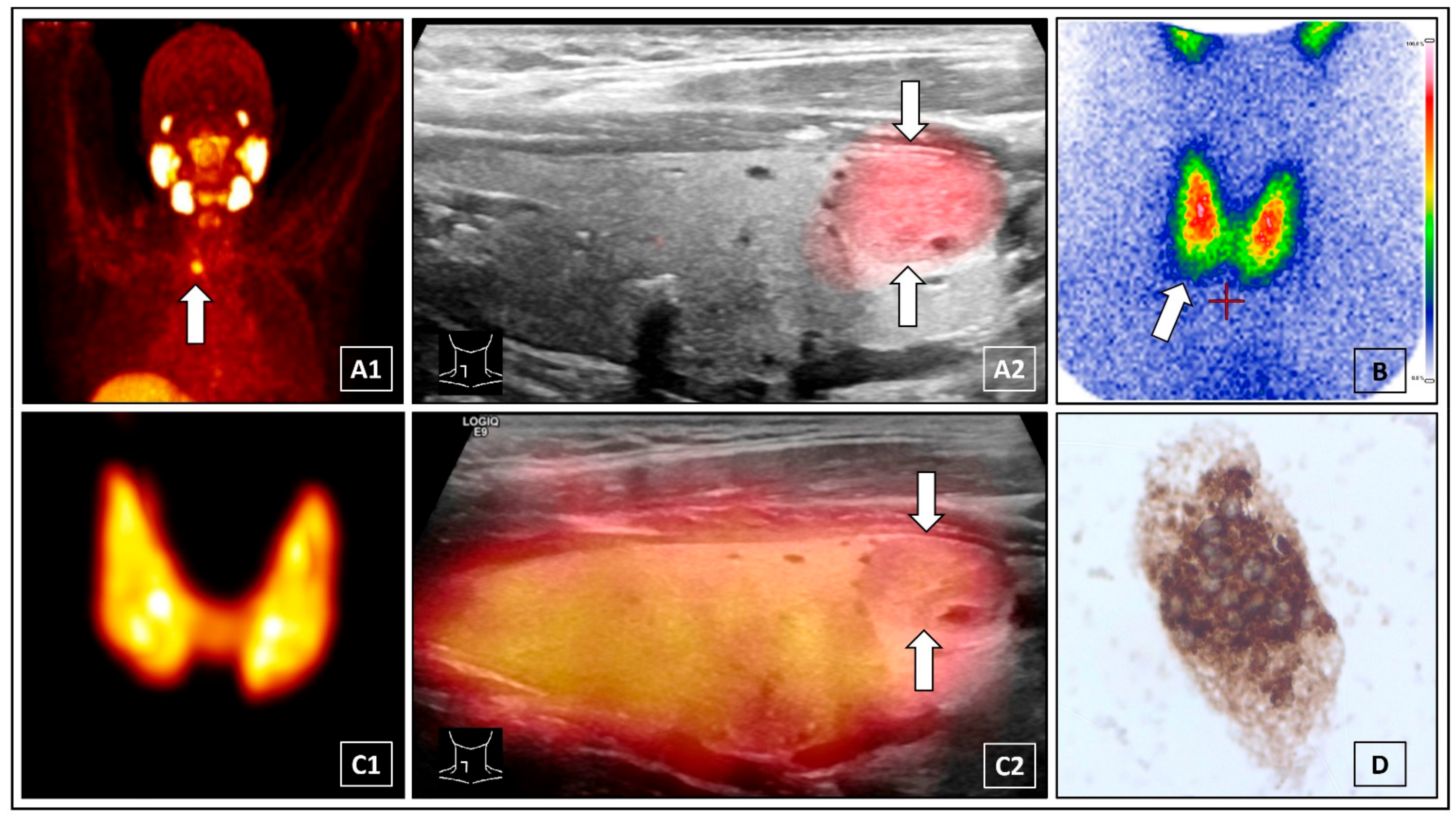 Diagnostics 12 00472 g001 Diagnostics 12 00472 g001