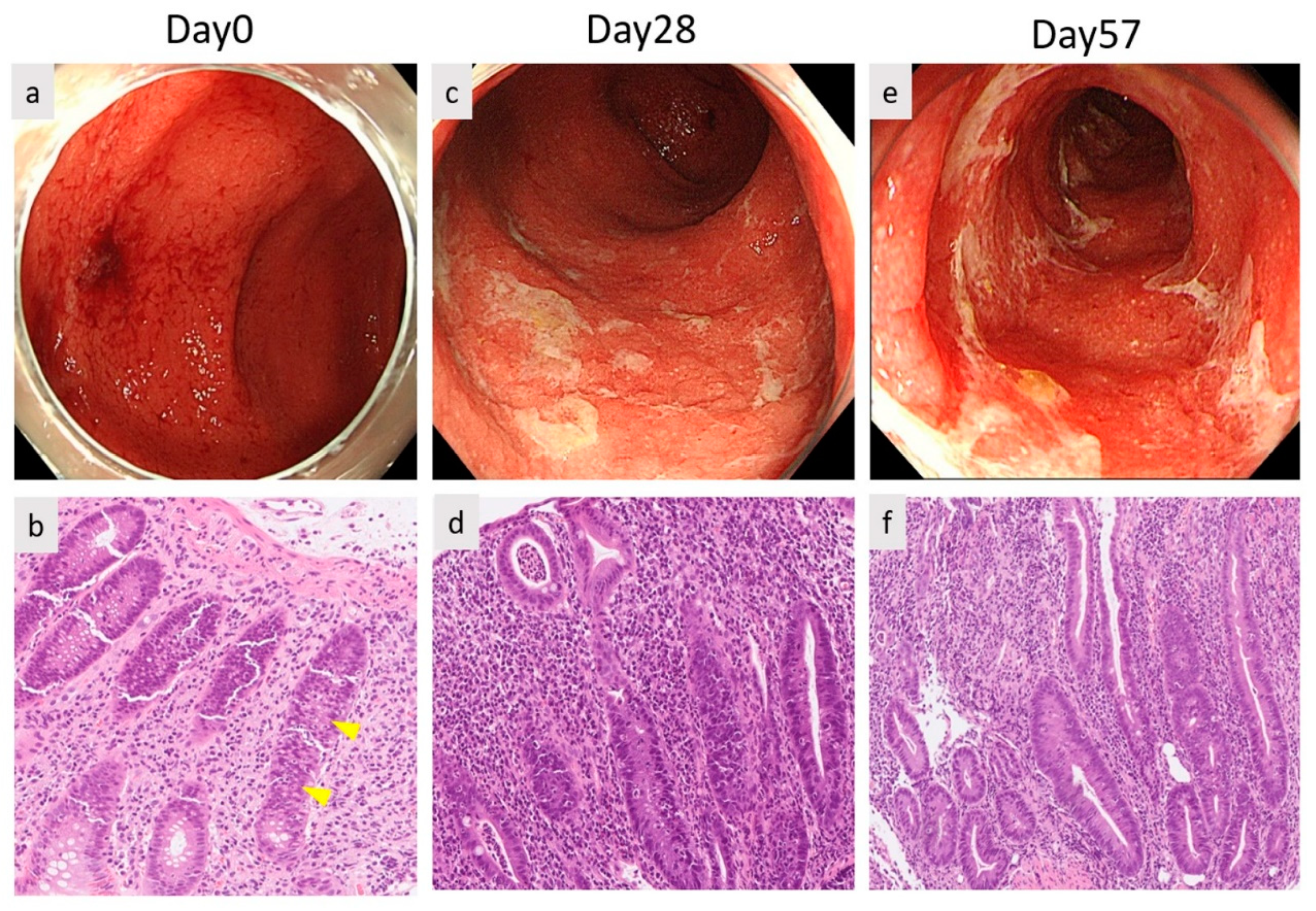 Diagnostics 12 00480 g002a 550