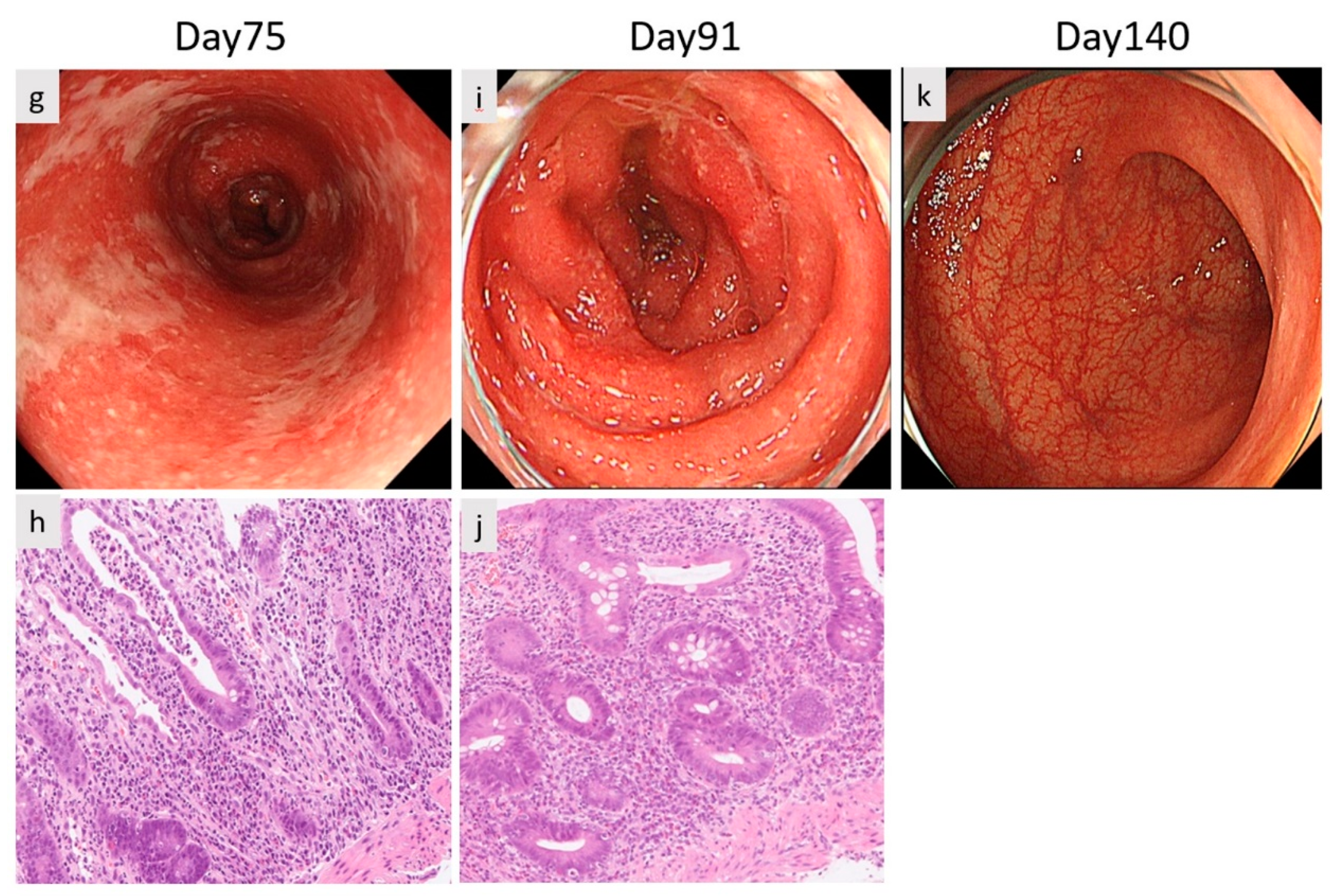 Diagnostics 12 00480 g002b 550
