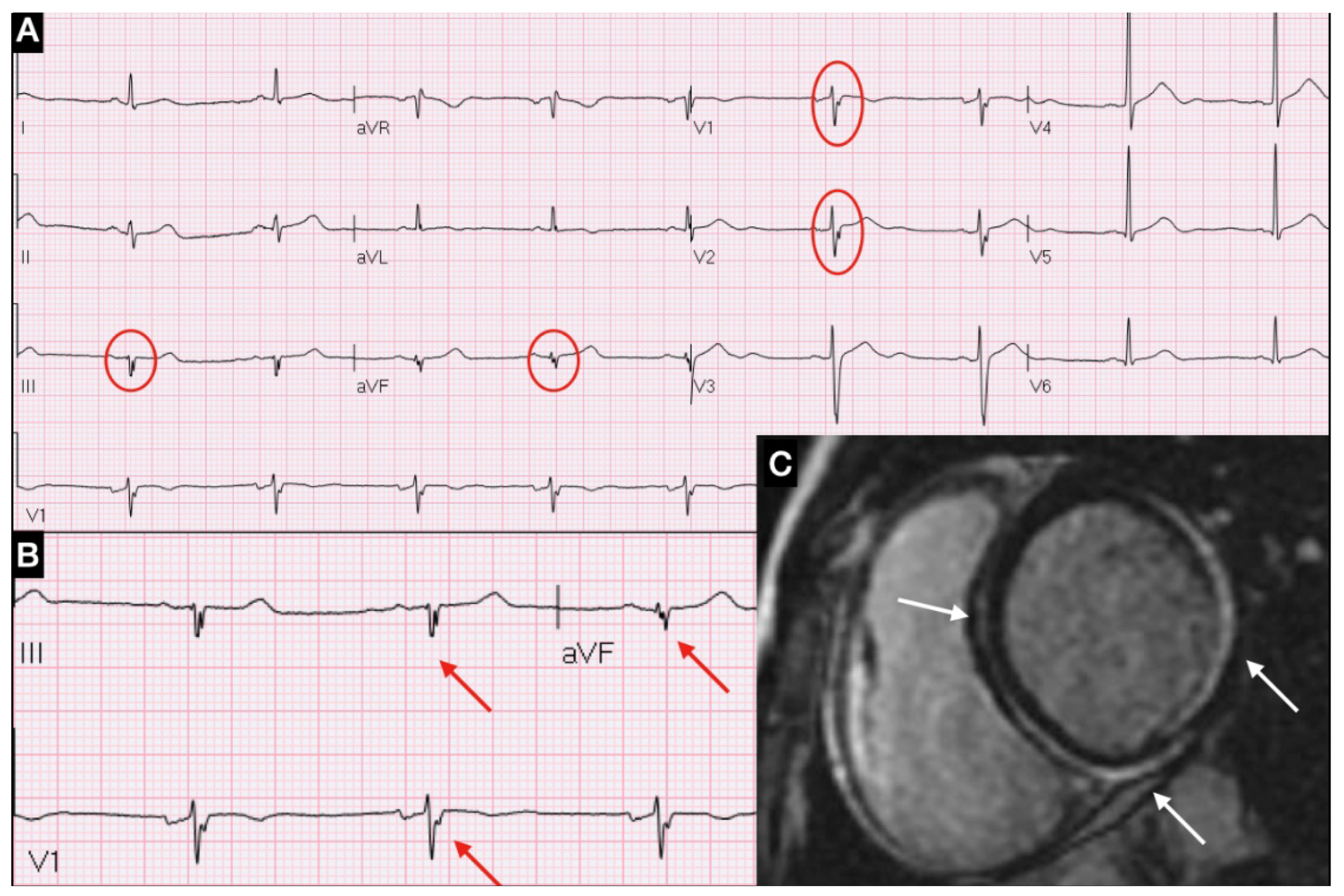 Diagnostics 12 00481 g001