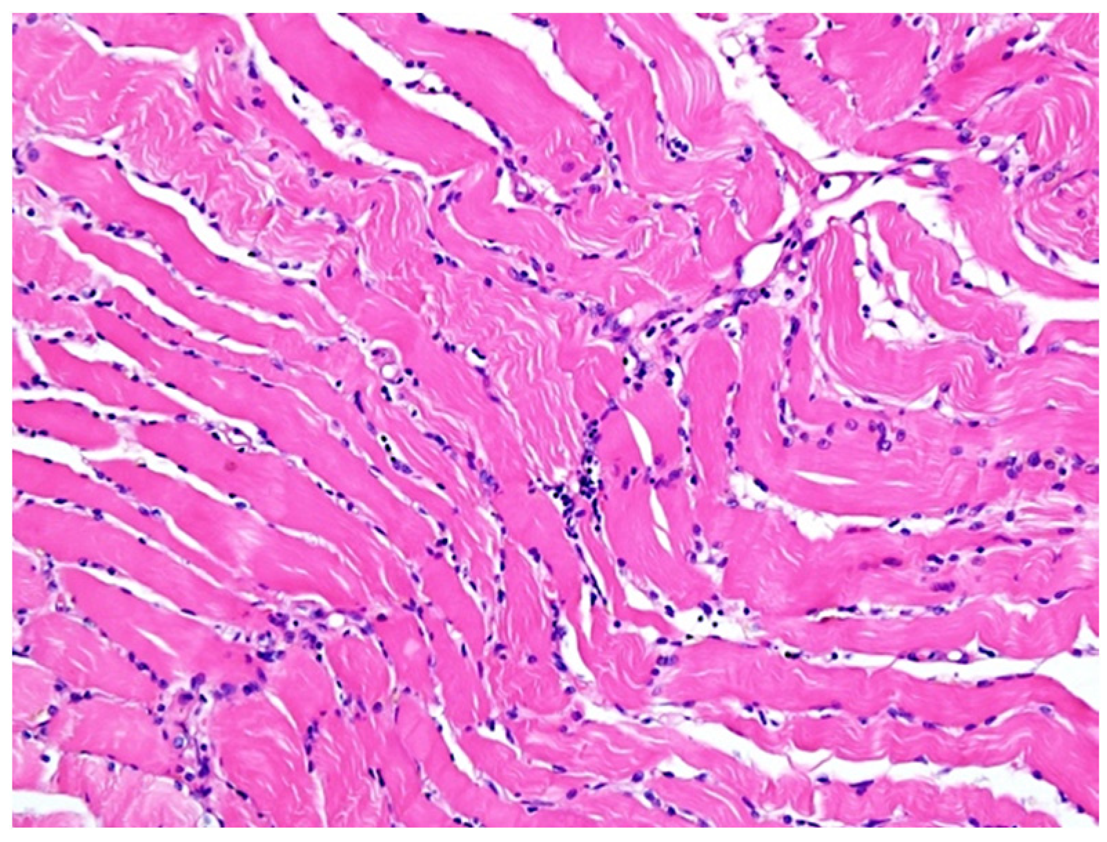 Diagnostics 12 00488 g003 550