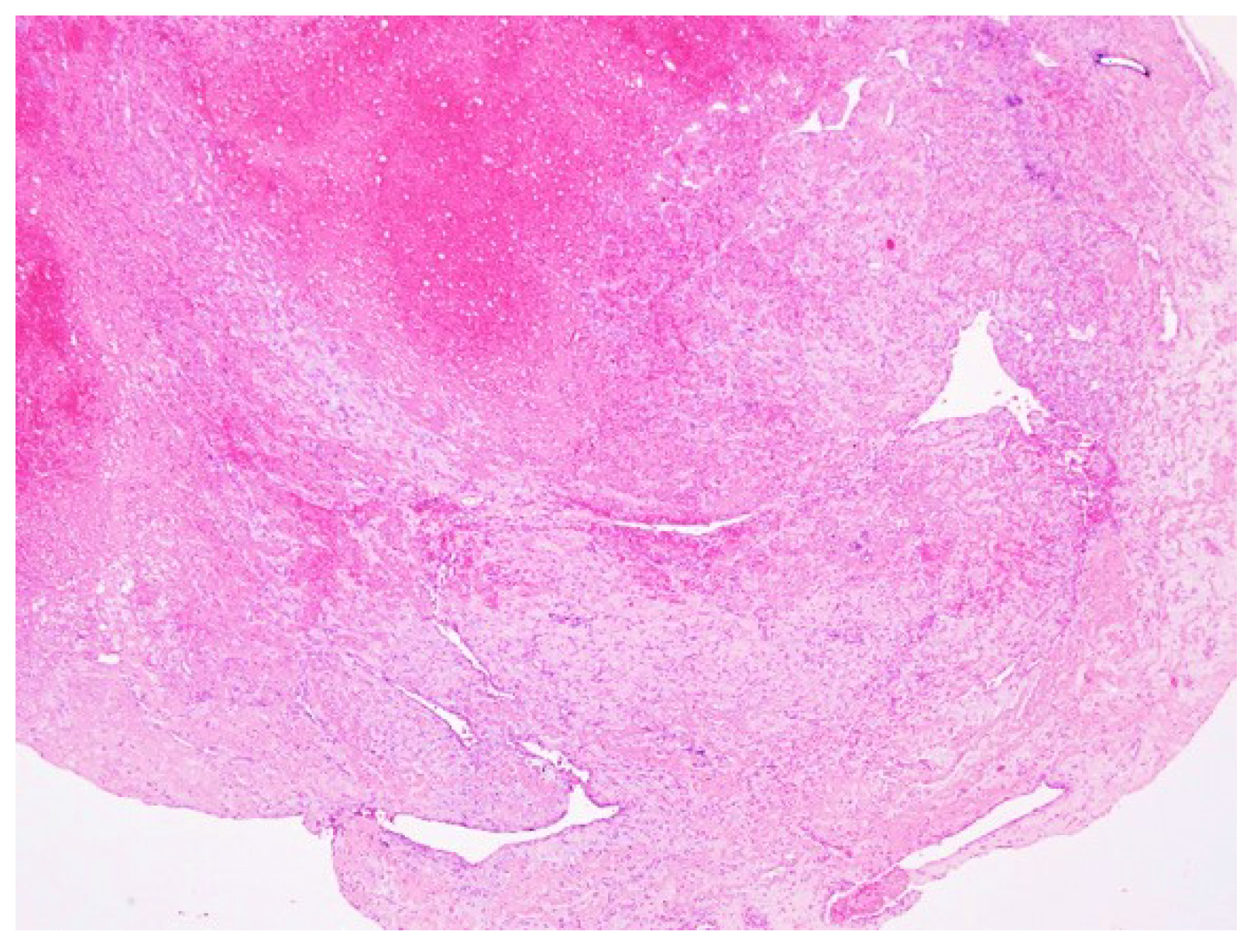 Diagnostics 12 00488 g005 550