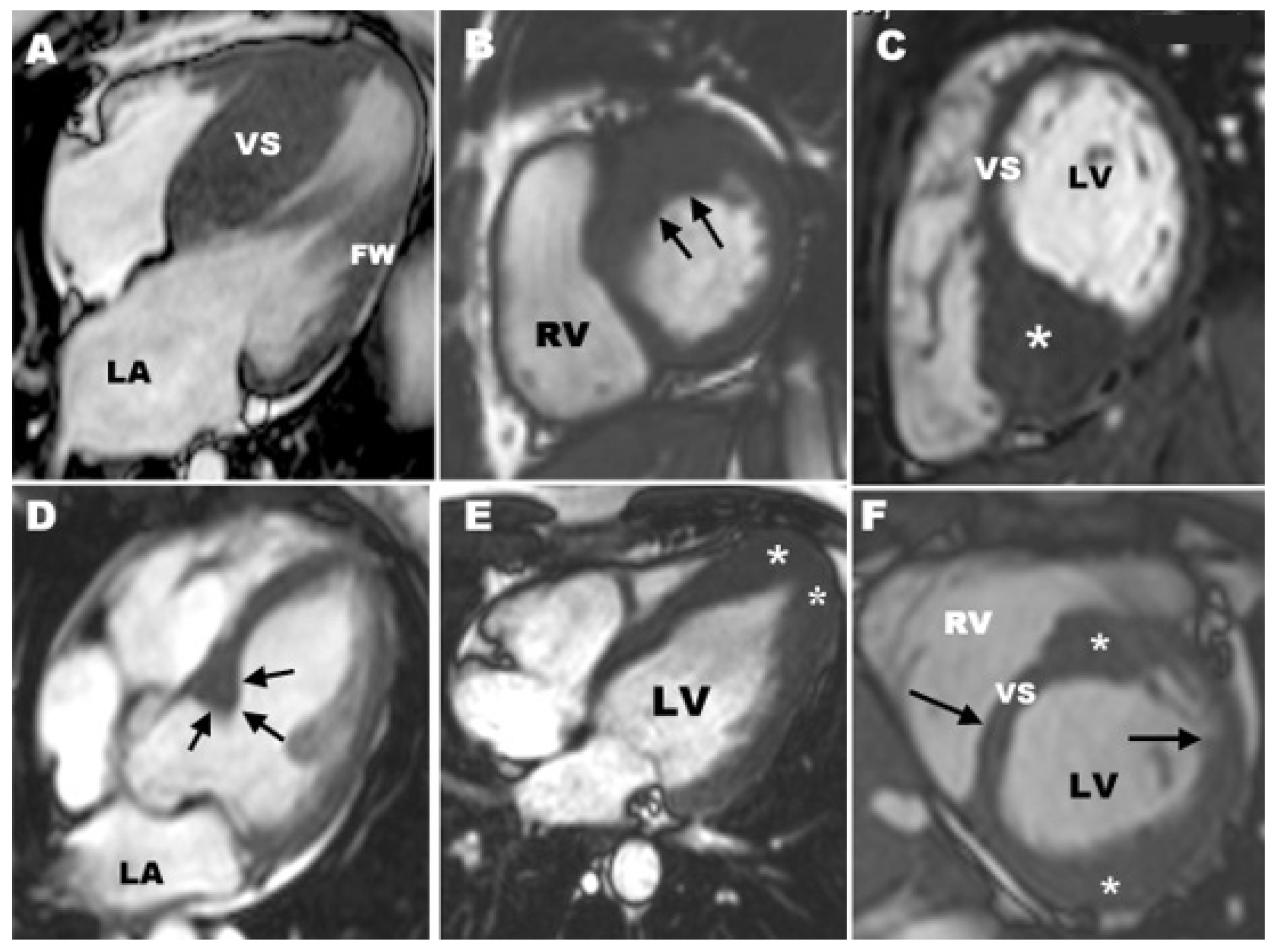 Diagnostics 12 00489 g006 Diagnostics 12 00489 g006