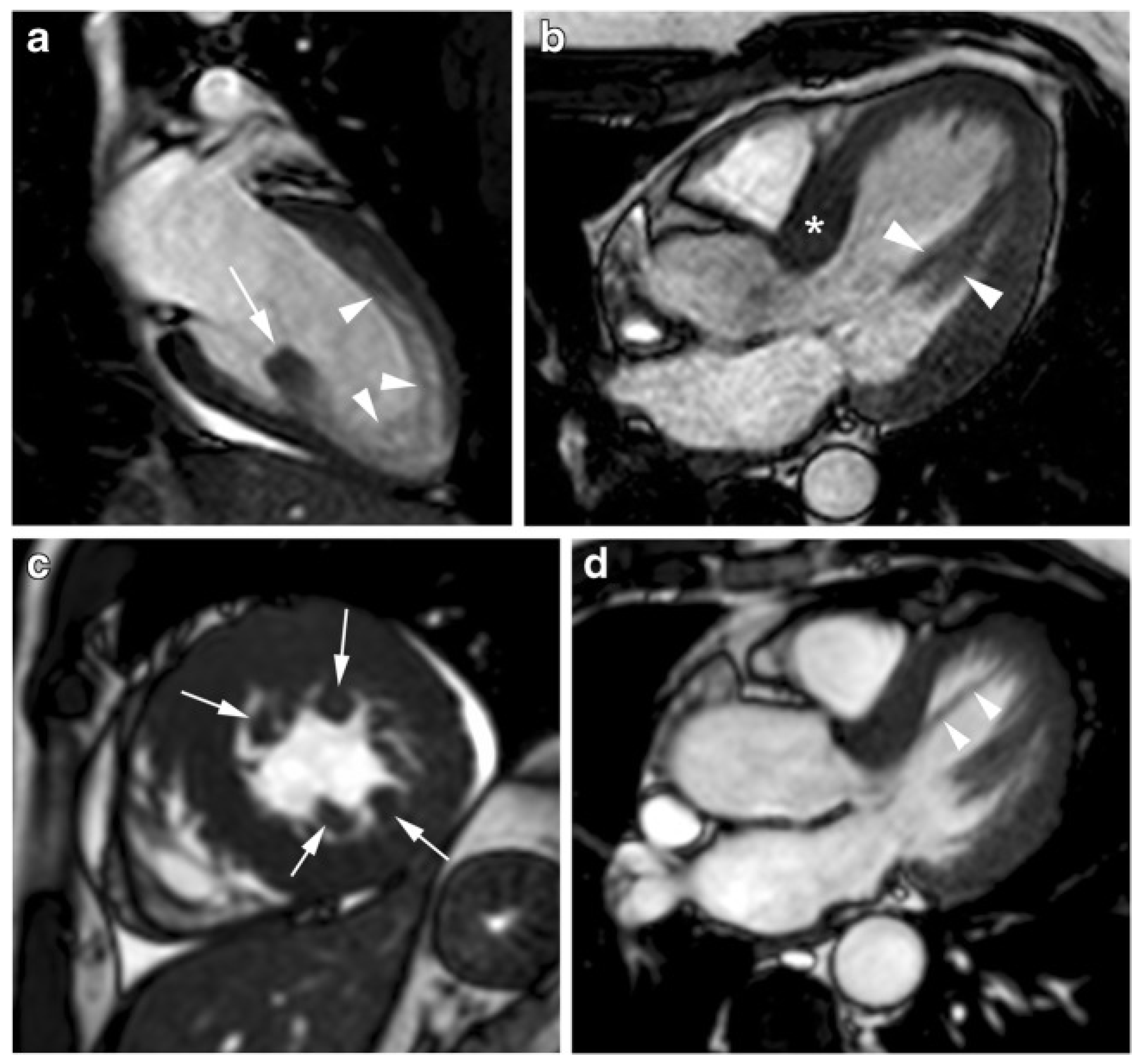 Diagnostics 12 00489 g008 Diagnostics 12 00489 g008