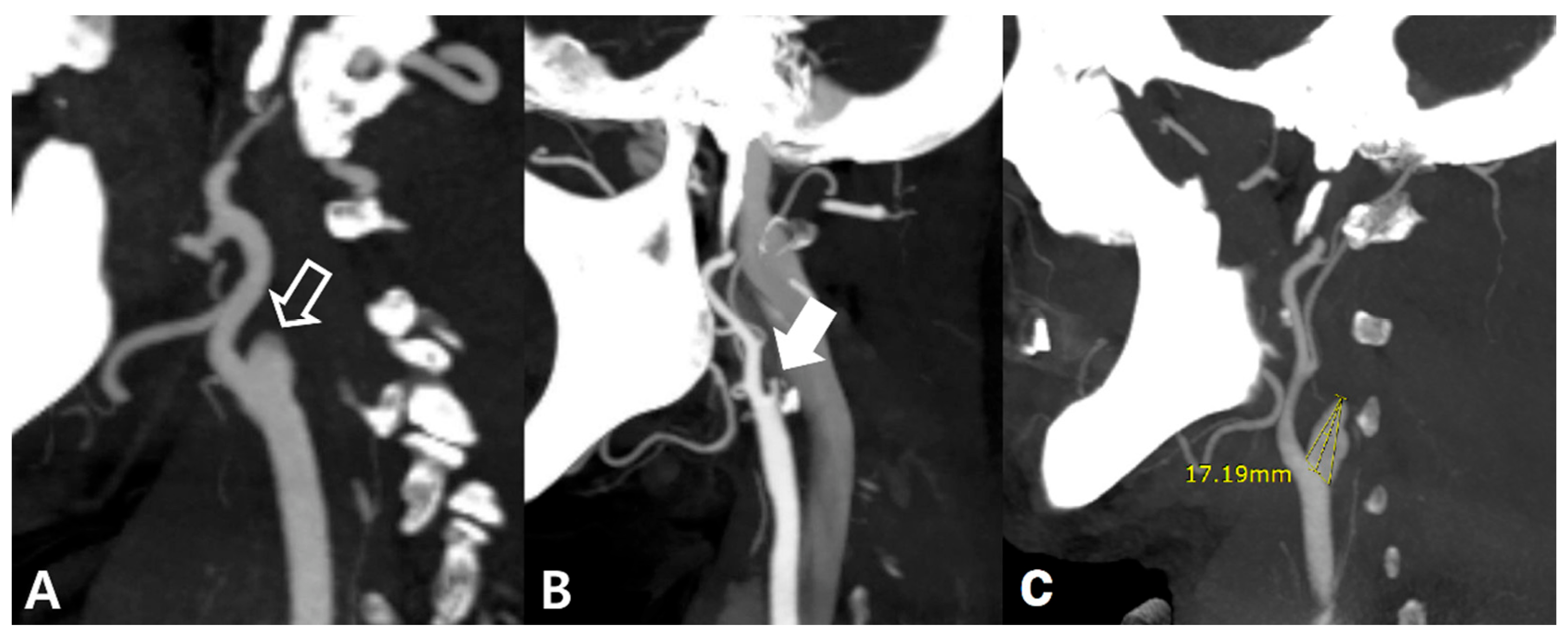 Diagnostics 12 00494 g001 550