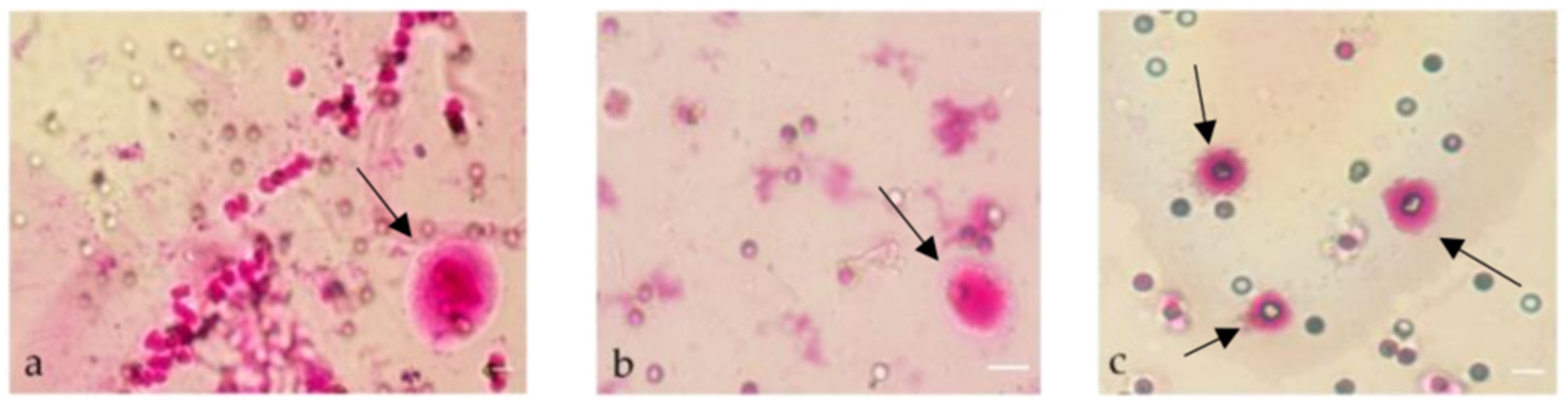 Diagnostics 12 00497 g005