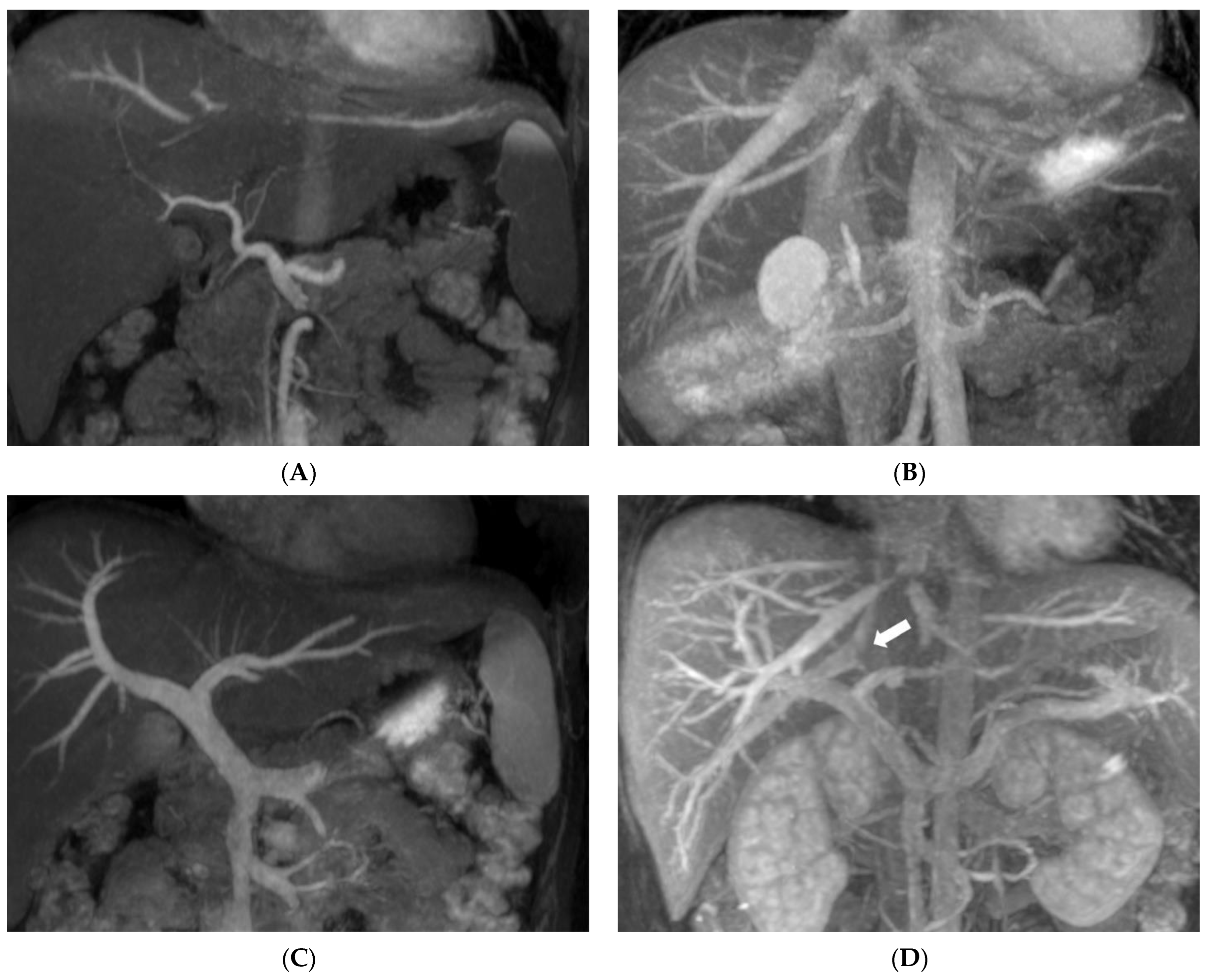 Diagnostics 12 00498 g002 Diagnostics 12 00498 g002