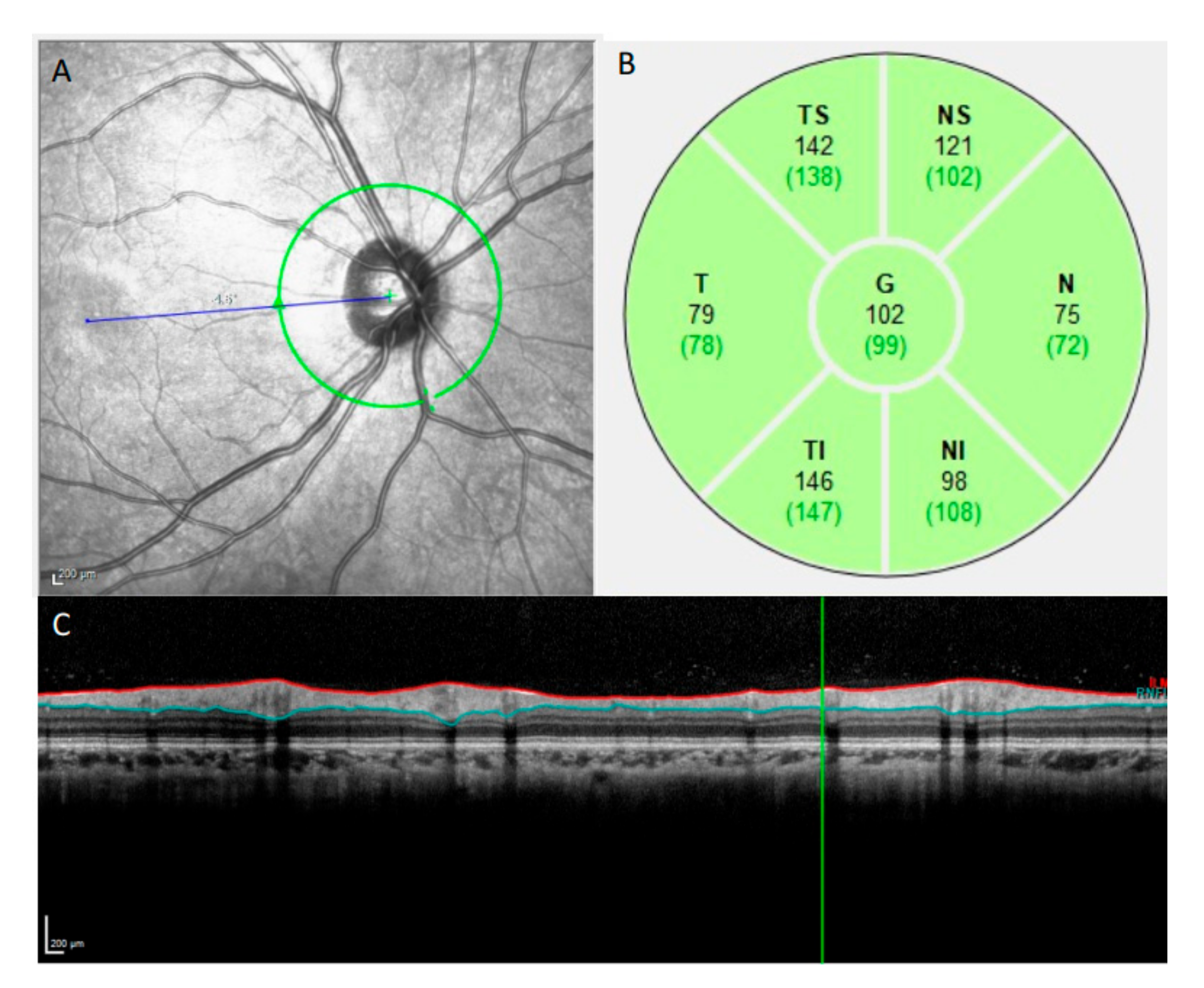 Diagnostics 12 00500 g001