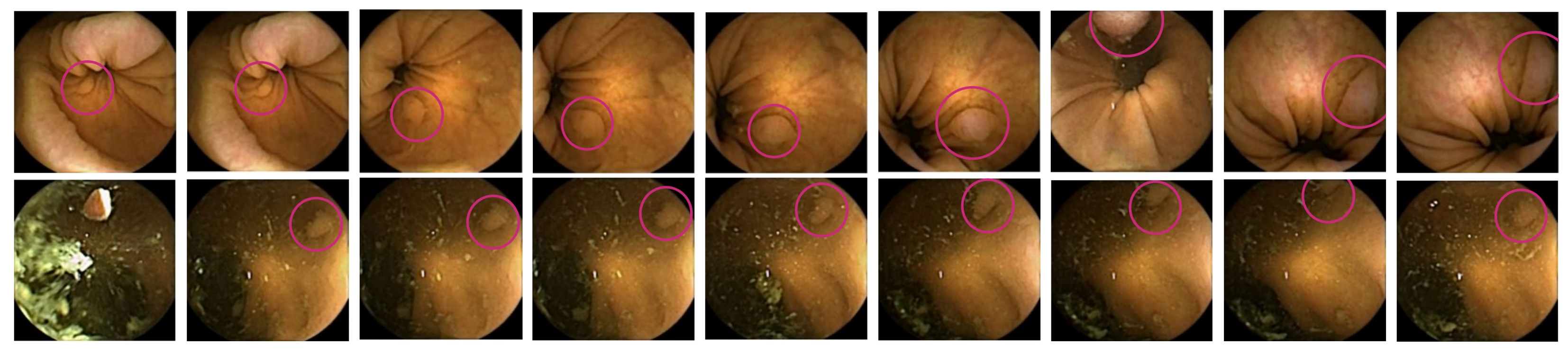 Diagnostics 12 00501 g002