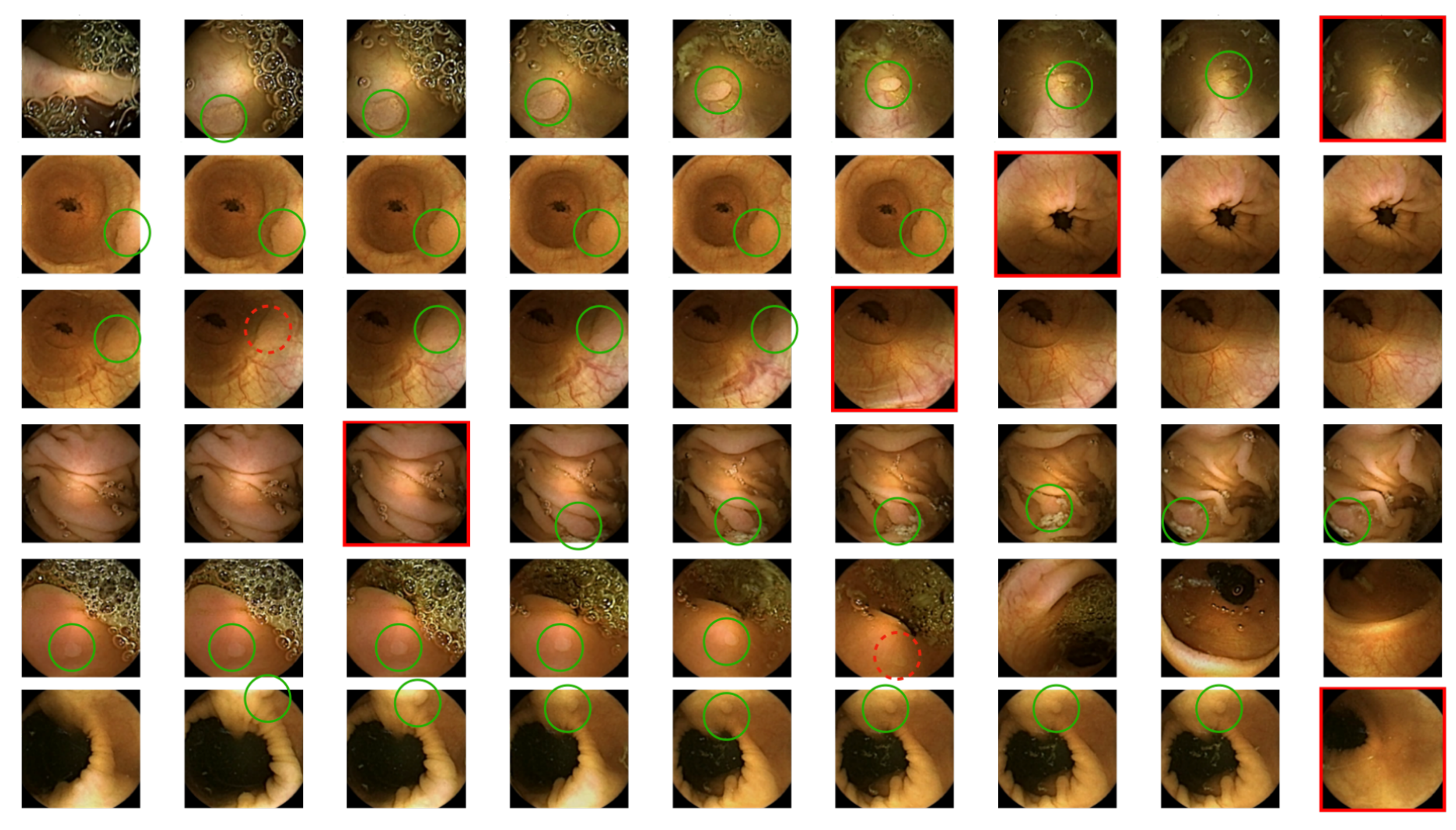 Diagnostics 12 00501 g005