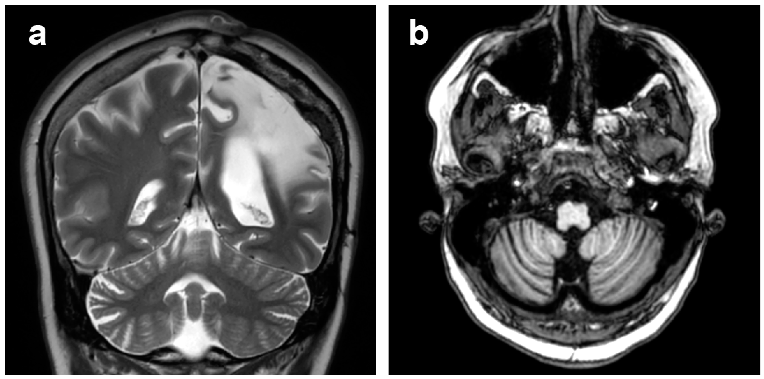 Diagnostics 12 00502 g008 550