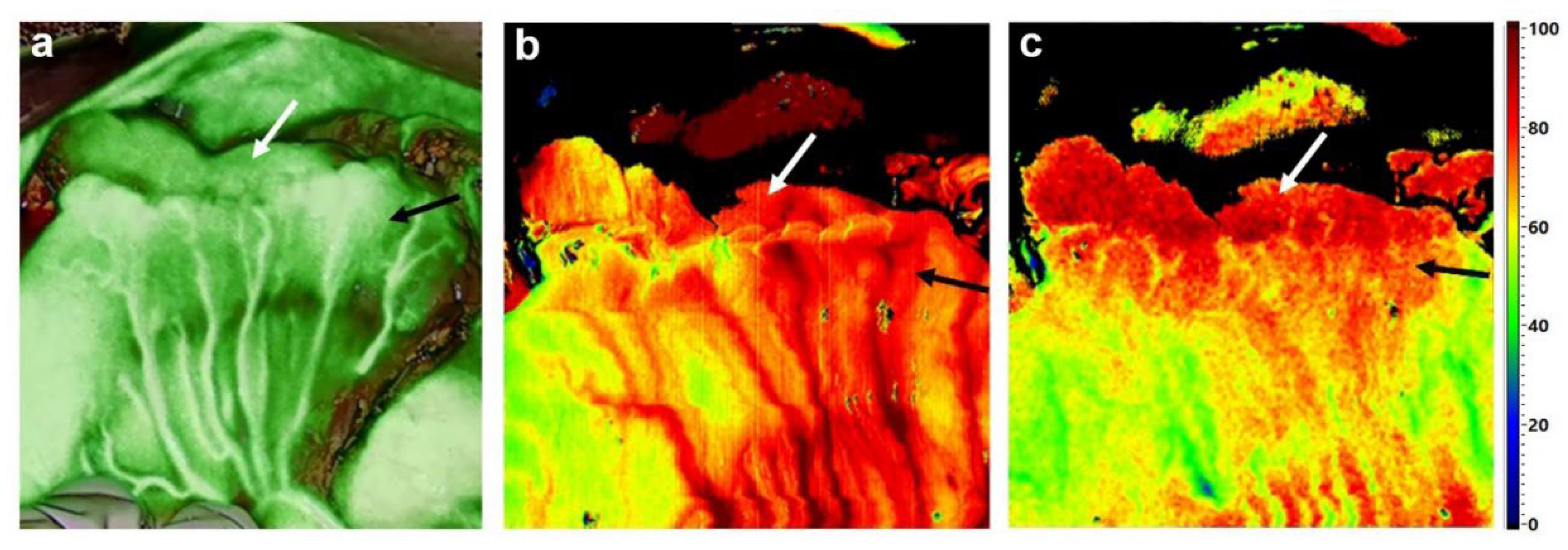 Diagnostics 12 00507 g001