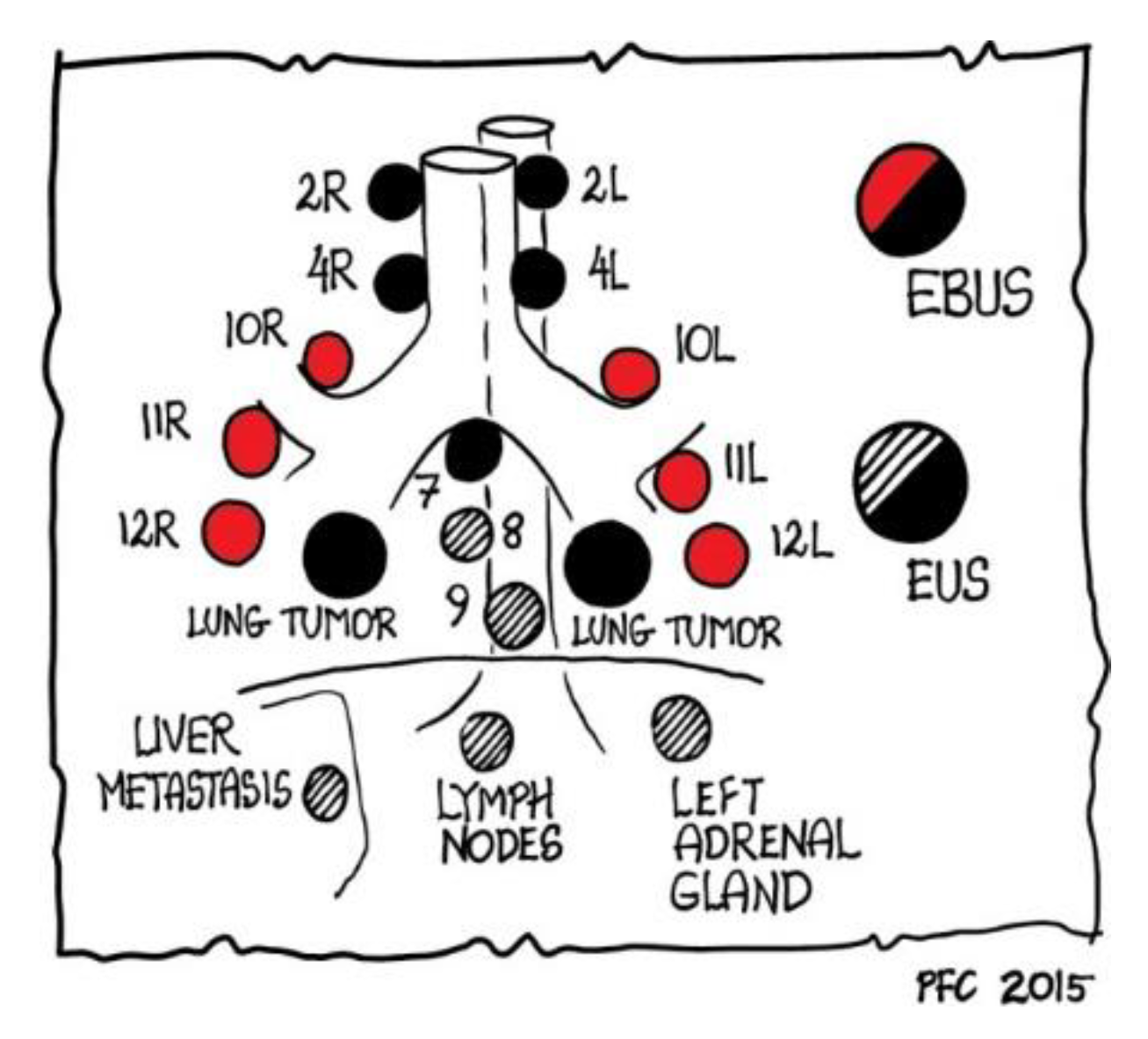 Diagnostics 12 00512 g003 Diagnostics 12 00512 g003