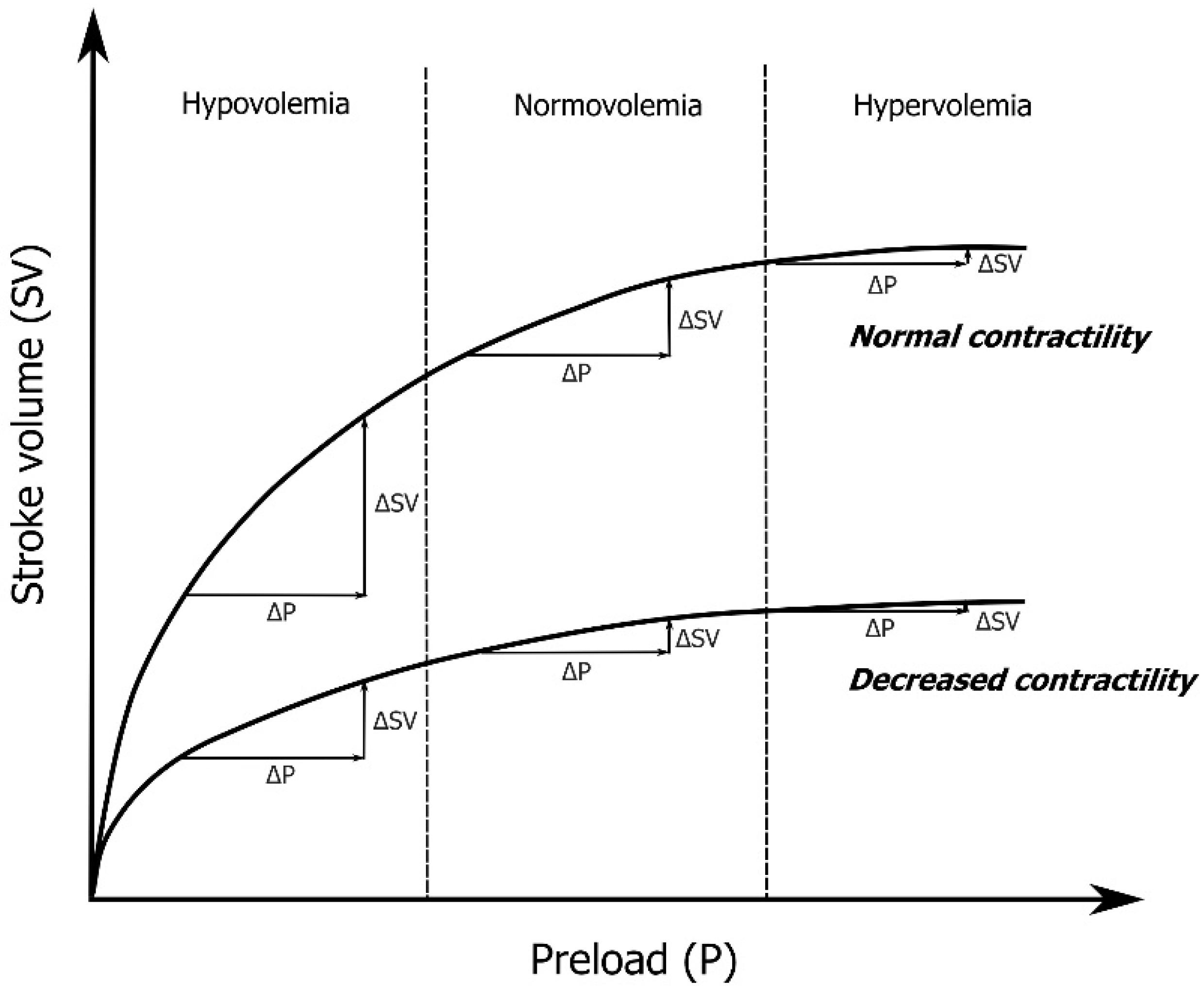 Diagnostics 12 00513 g001 Diagnostics 12 00513 g001