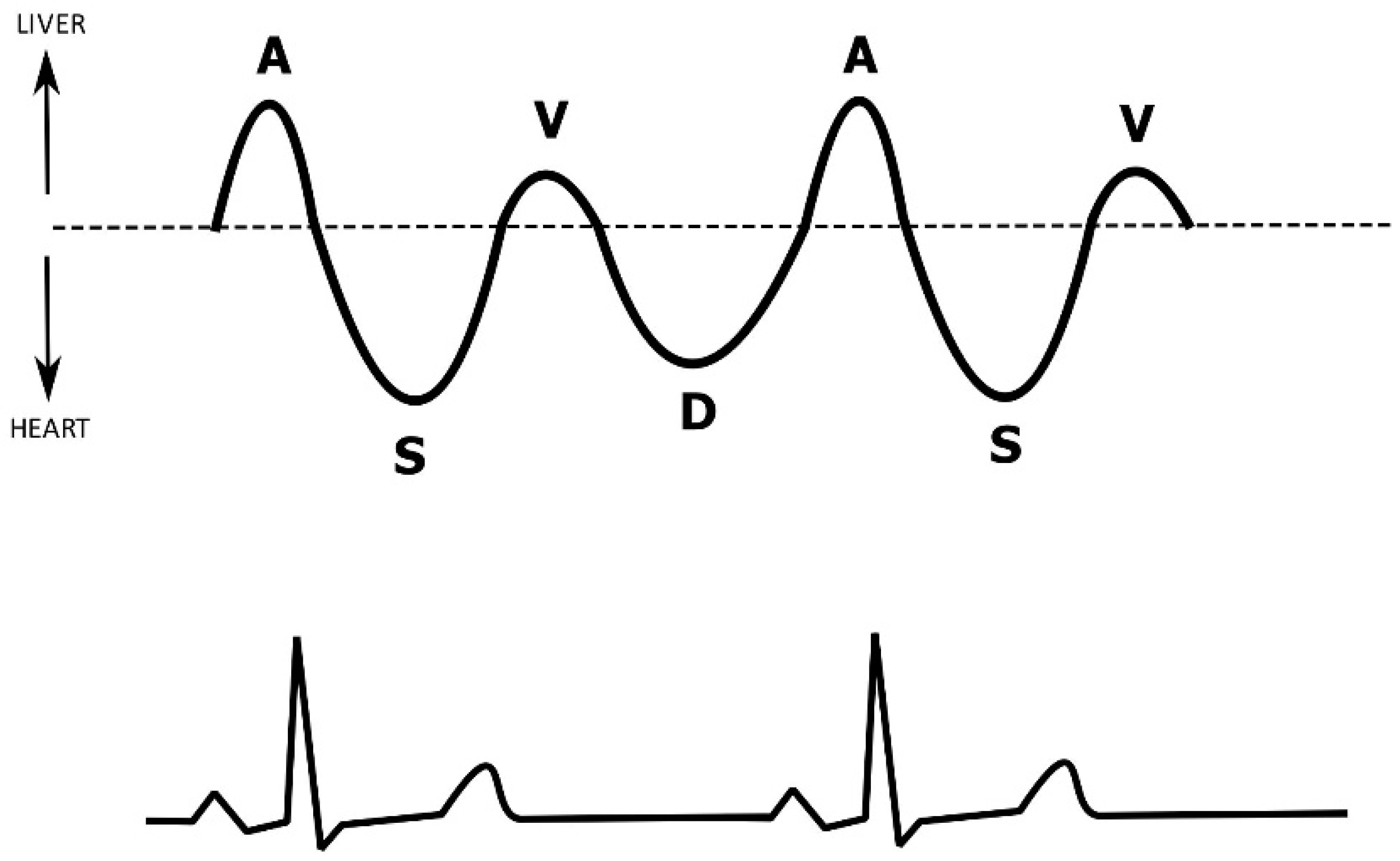 Diagnostics 12 00513 g003 Diagnostics 12 00513 g003