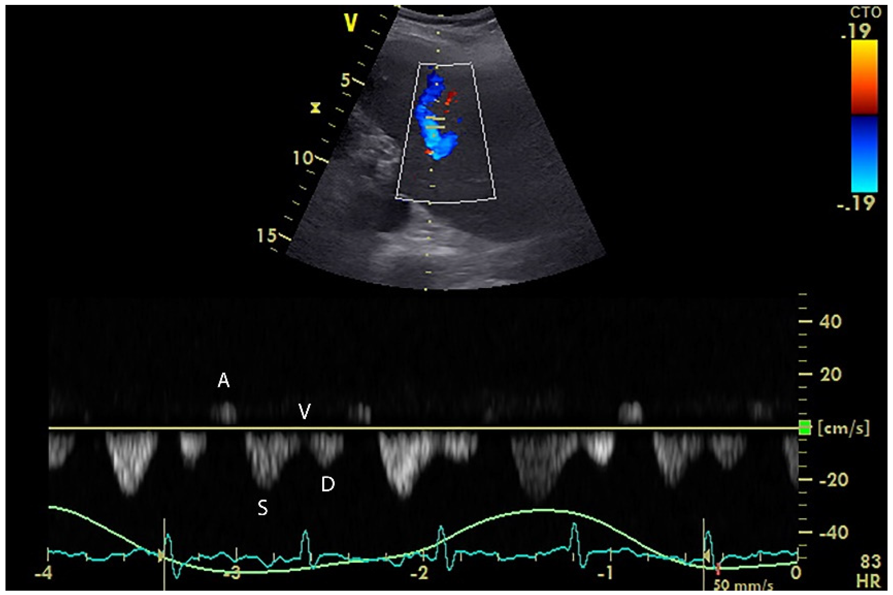 Diagnostics 12 00513 g004 Diagnostics 12 00513 g004