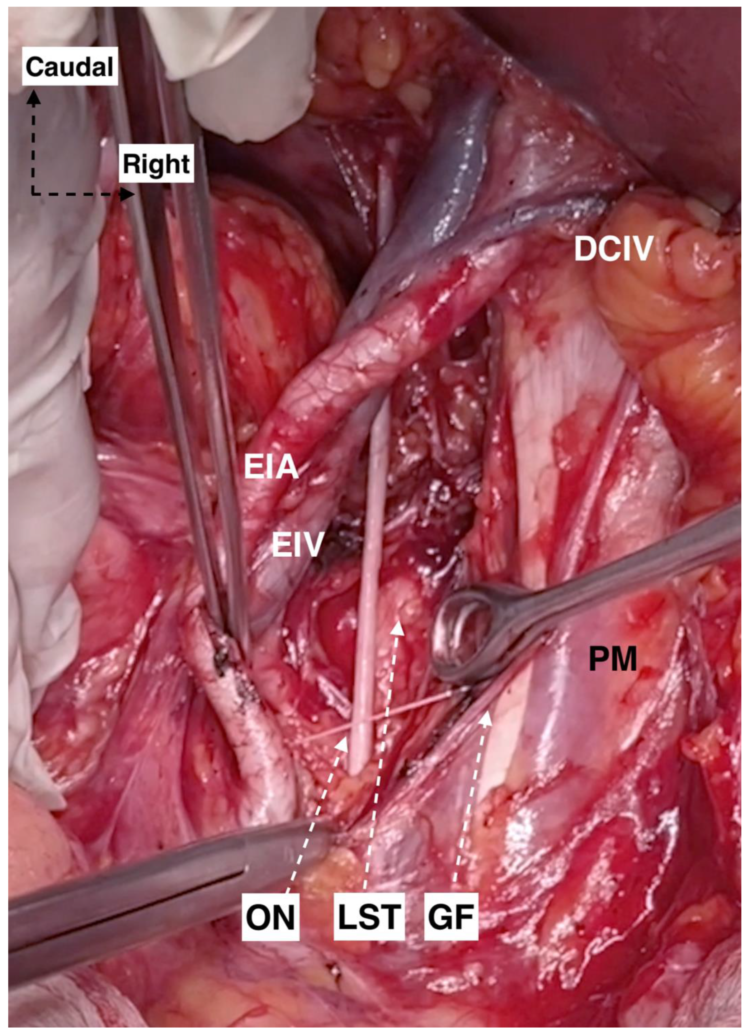 Diagnostics 12 00519 g005 550
