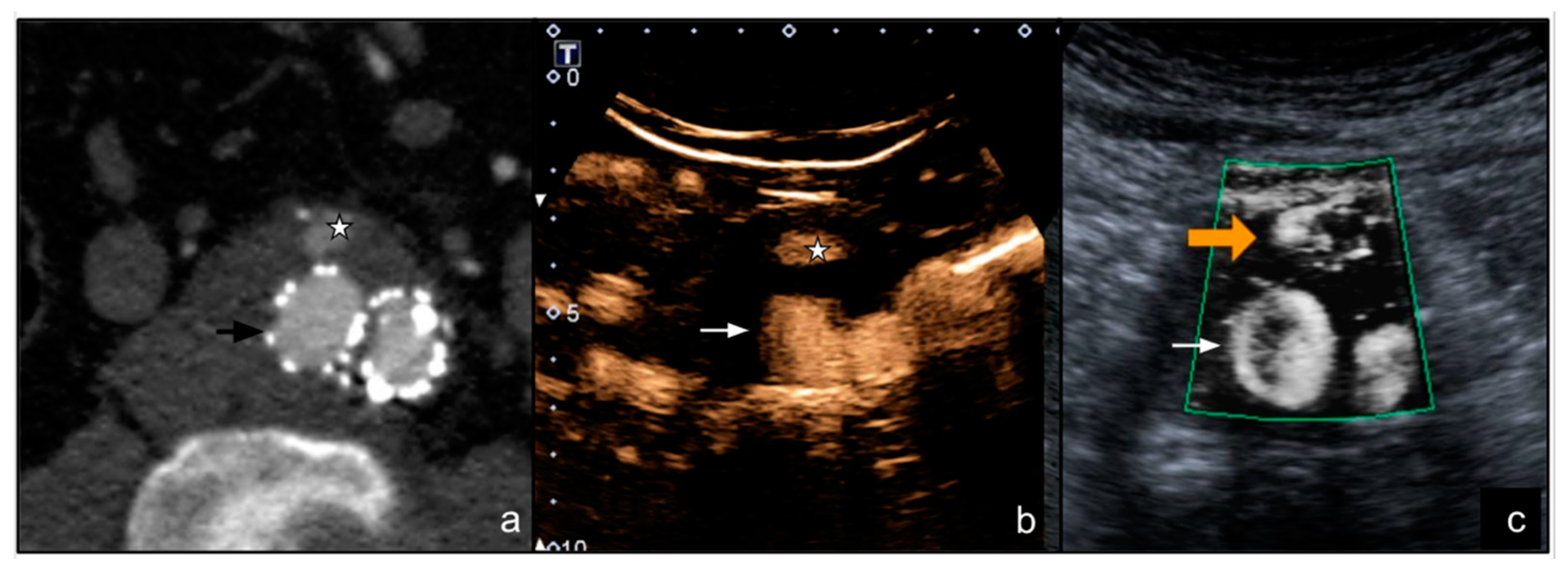 Diagnostics 12 00526 g004