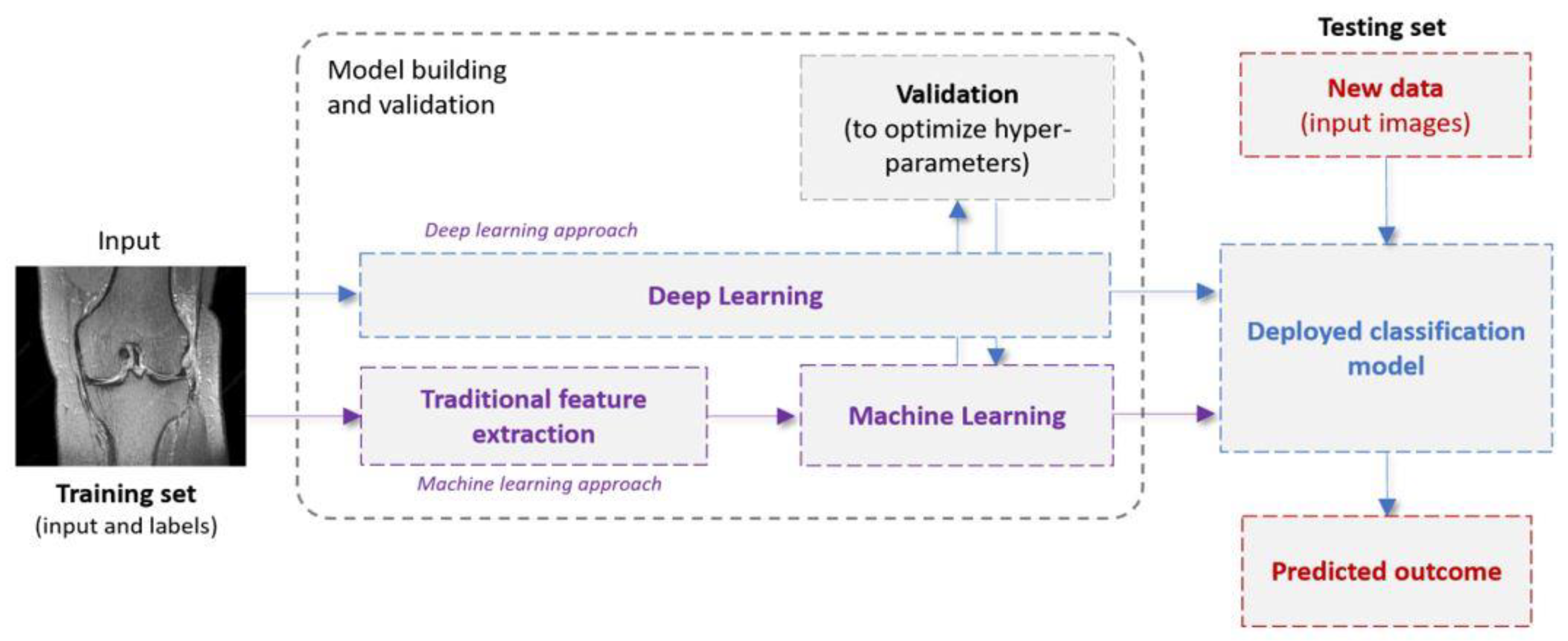 Diagnostics 12 00537 g001 550