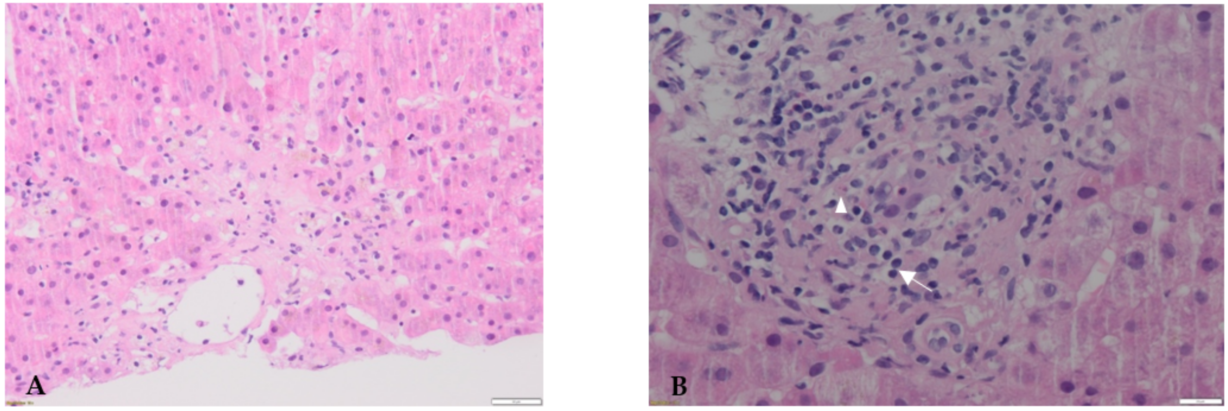 Diagnostics 12 00539 g001