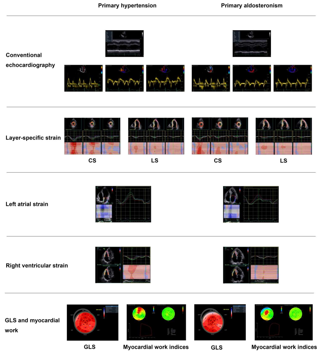 Diagnostics 12 00543 g004