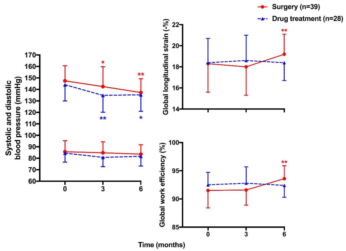 Diagnostics 12 00543 g005