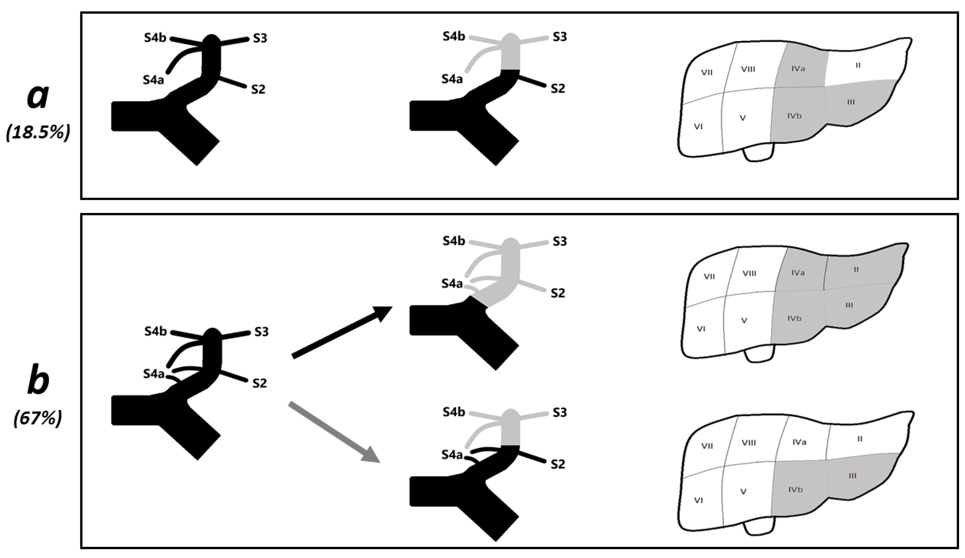 Diagnostics 12 00545 g004 550